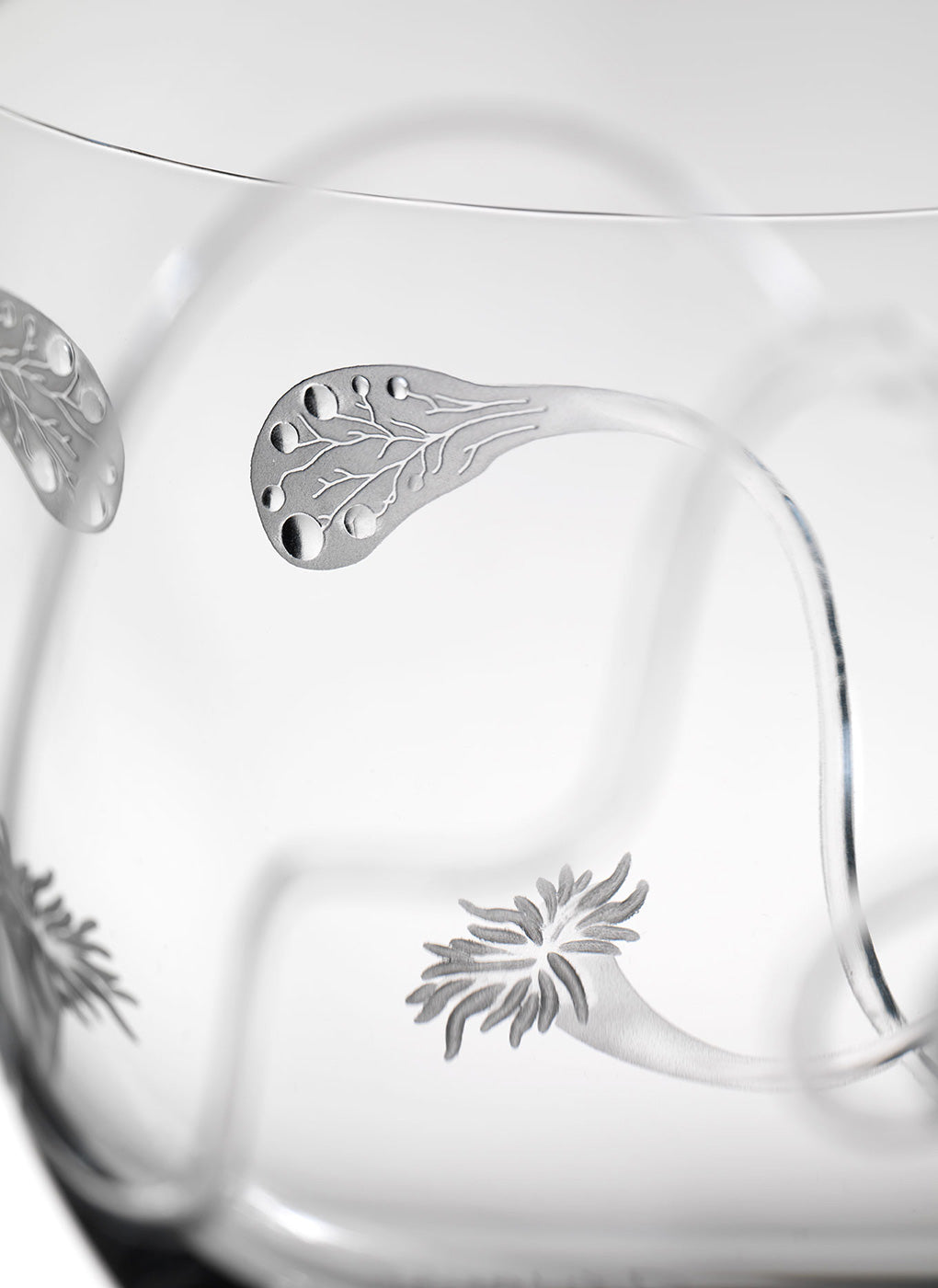 Close-up of the Goblets of Humanity by Lobmeyr featuring intricate copper wheel engravings with delicate leaf and flower designs etched with precision into smooth, lead-free crystal.