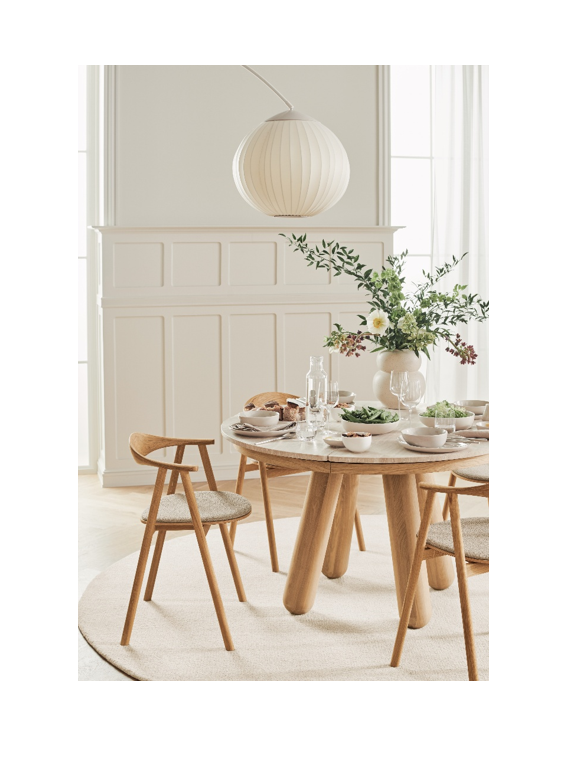 Swing Dining Chair