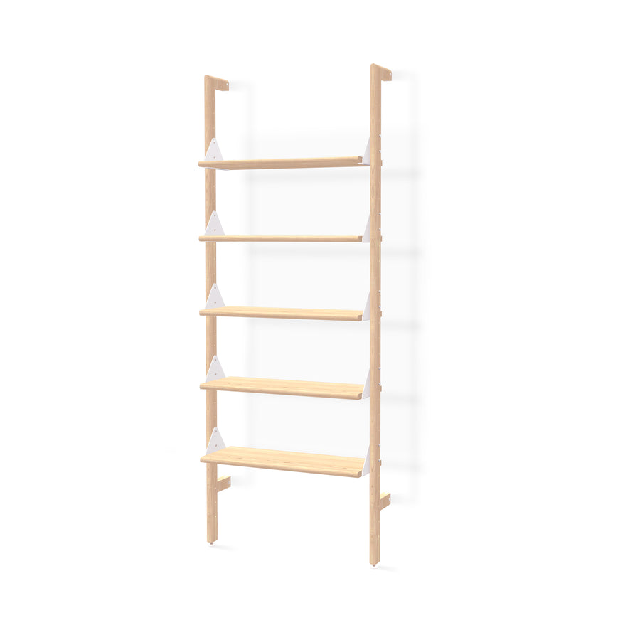 Branch-1 Shelving Unit