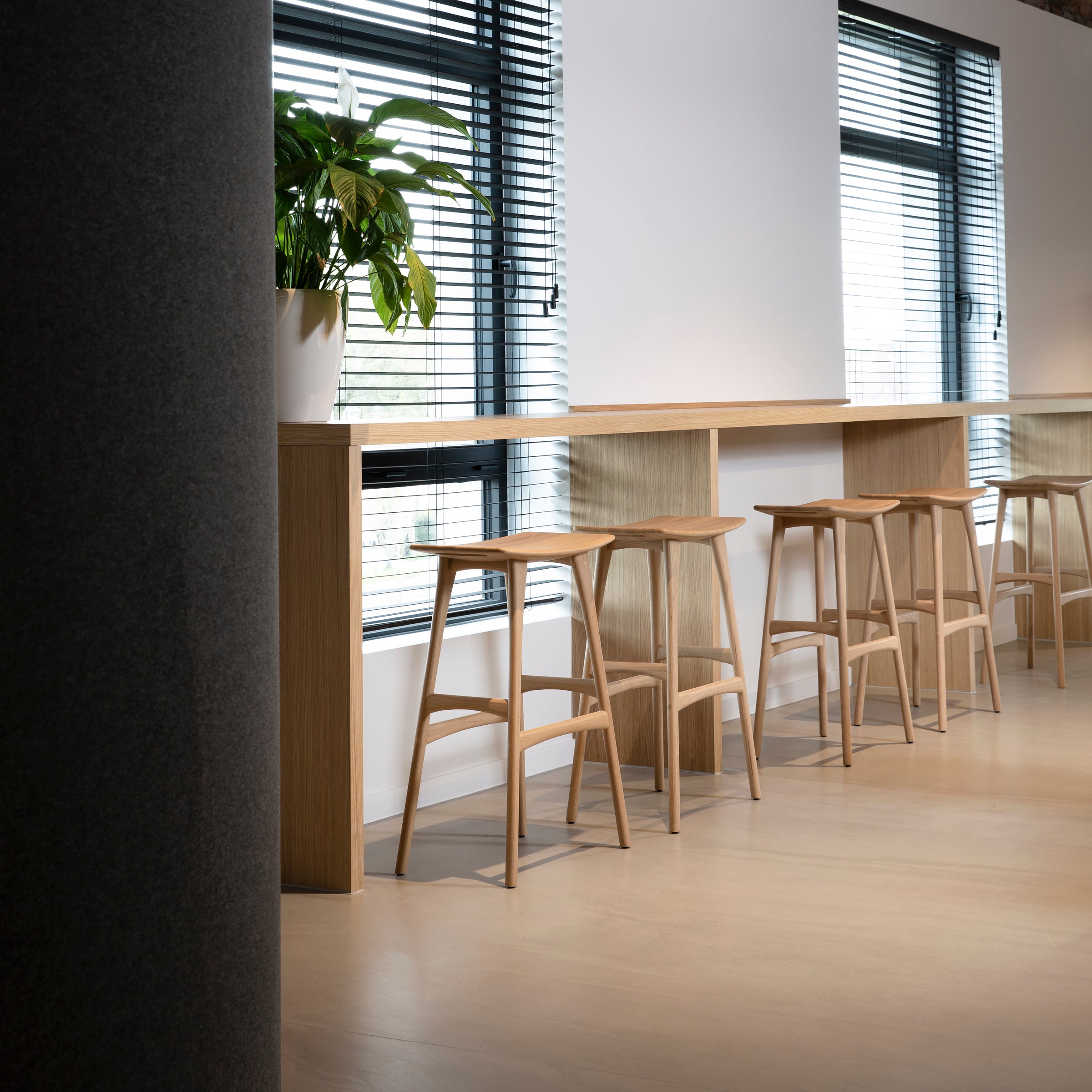 Osso Bar Stool set in a modern space with varnished oak stools along a wooden high table by windows.