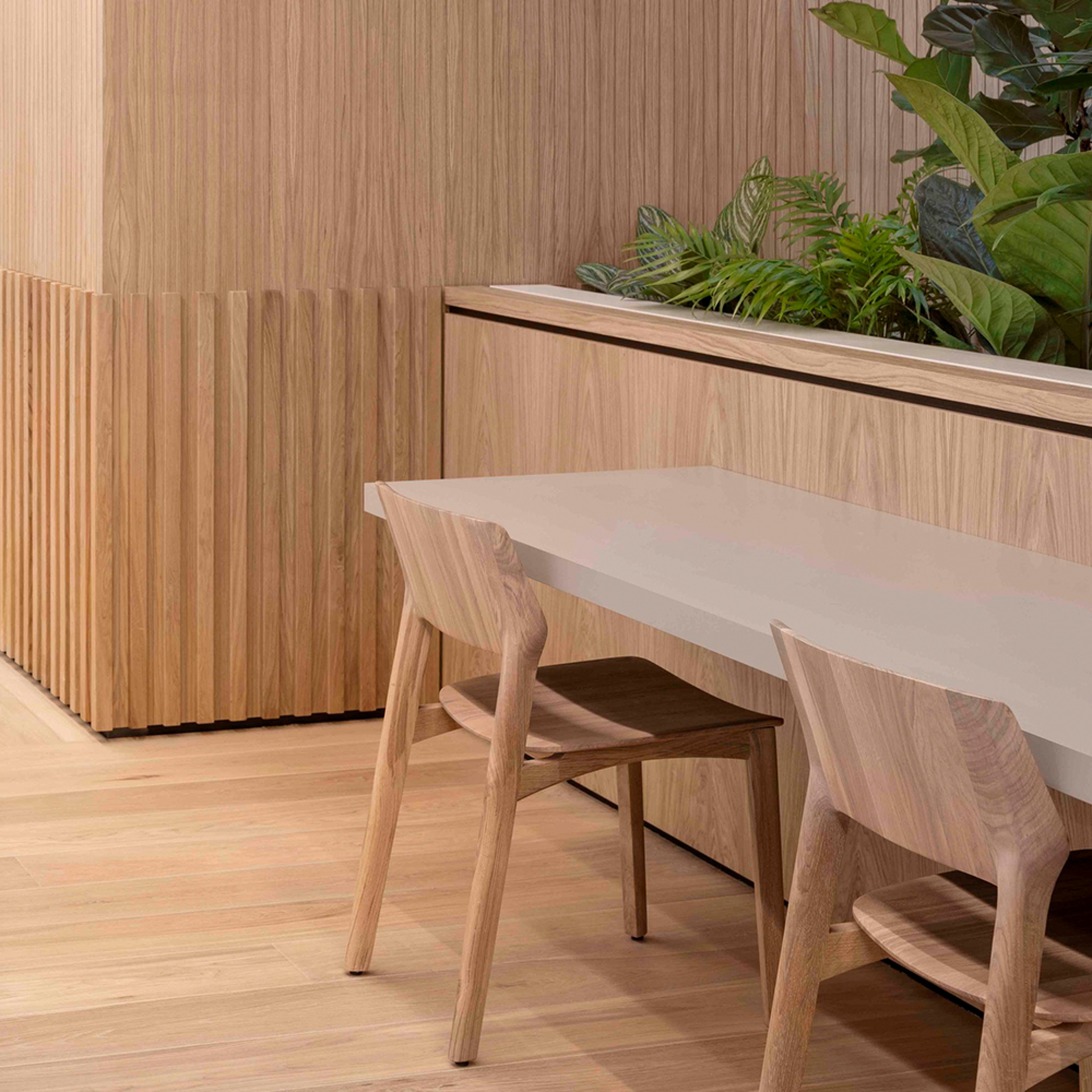 Modern interior featuring two Artisan FIN Chairs and a rectangular table, surrounded by wooden paneling. A planter box of green leafy plants enhances the minimalist design with organic wood textures and eco-friendly materials.