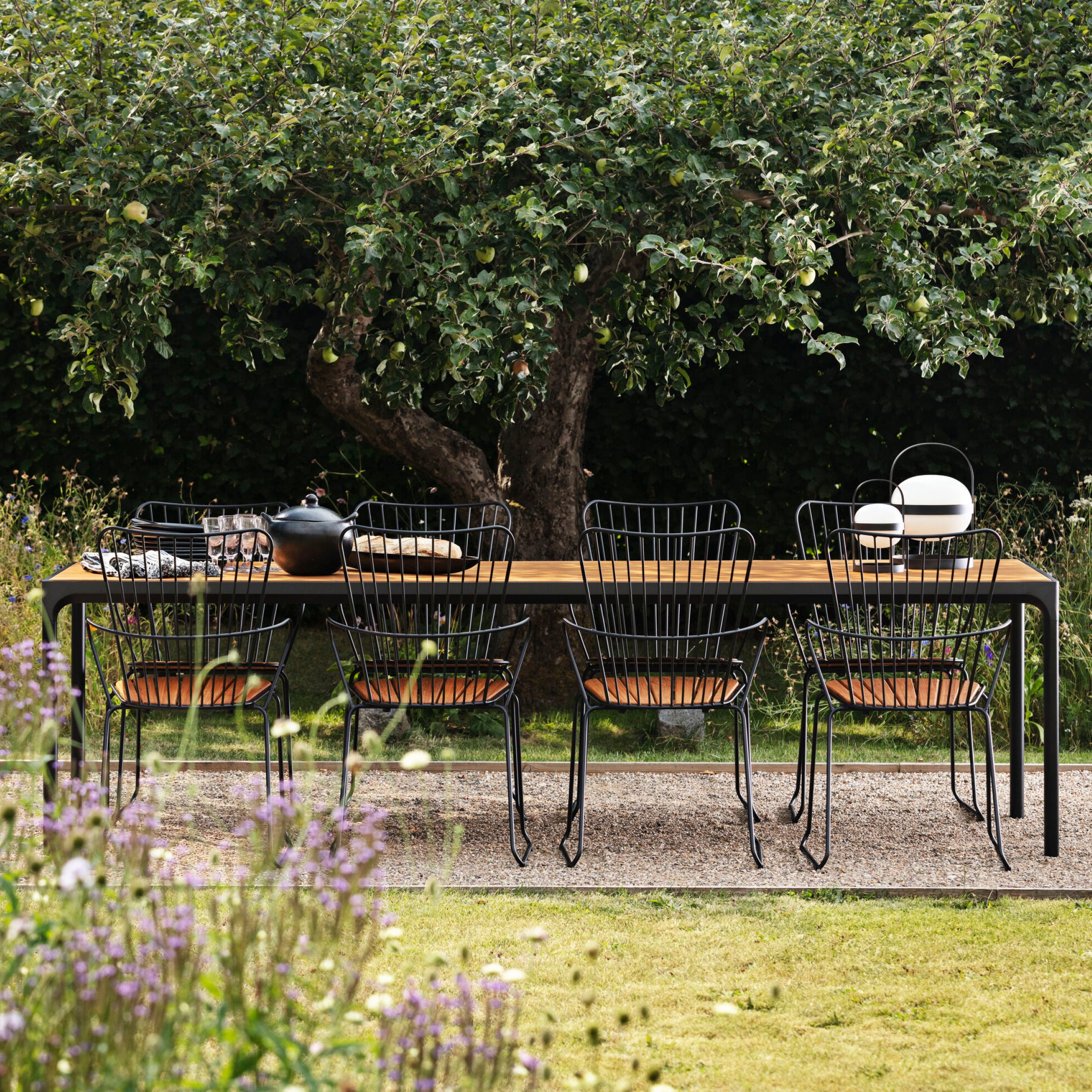 A long outdoor dining table with a wooden top is surrounded by eight sleek Houe Paon Dining Chairs. The table, adorned with a teapot and decor, showcases Scandinavian design elegance, set on gravel beneath a large, leafy tree in the garden setting.
