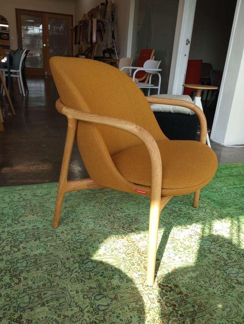 The NEVA Lounge Chair Trimmed by Artisan, in mustard yellow with wooden legs and armrests, rests elegantly on a green patterned rug in a sunlit room. In the background, complementary furniture enhances the cozy atmosphere.