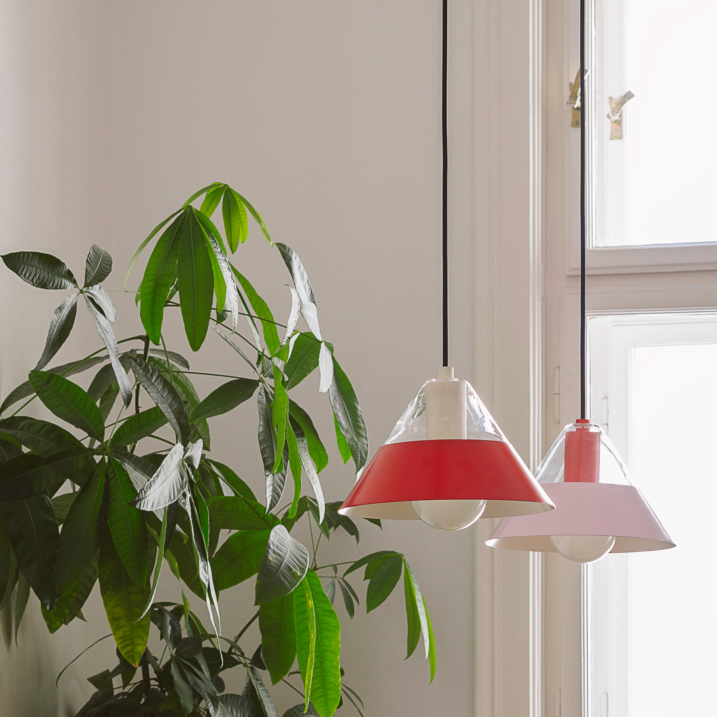 FIFTY FIFTY lamp with glass top and metal shade in red and pink, hanging by a window with green plant nearby.