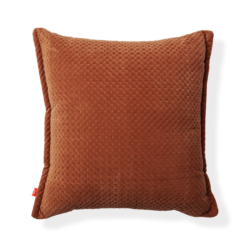 Ravi Pillow  20x20
