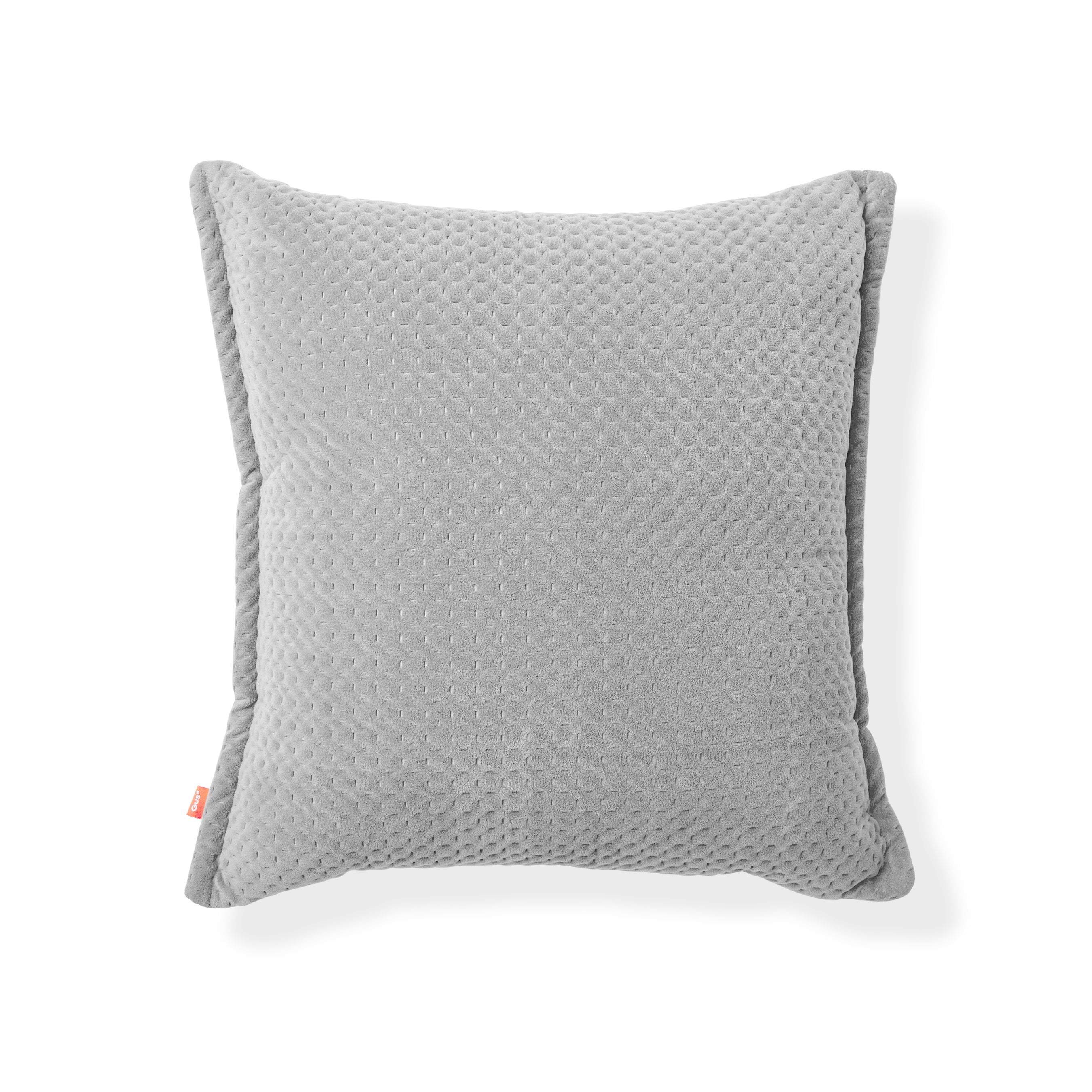 Ravi Pillow  20x20