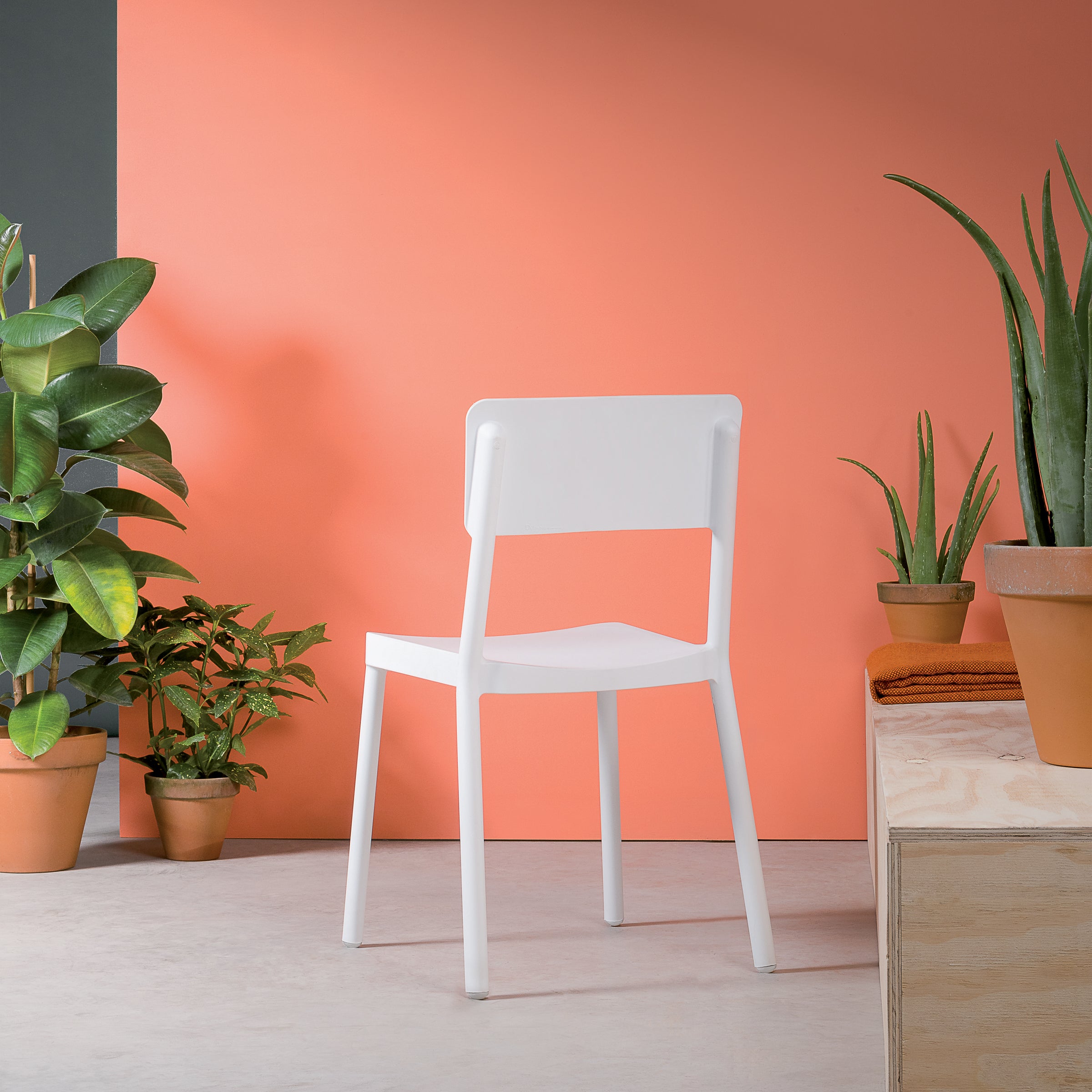 A Lisboa Chair by Resol, known for sustainable production, sits in a room with coral walls and a concrete floor. It is surrounded by potted plants like a fiddle leaf fig and aloe vera. To the right, a wooden bench holds more plants.