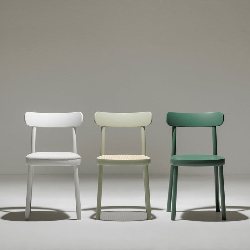 In collaboration with TONDesigner, three Chair La Zitta models by TON are aligned on a smooth, light floor; featuring bentwood designs with rounded backrests and four legs. From left to right, the chairs are white, light green, and dark green against a neutral backdrop.