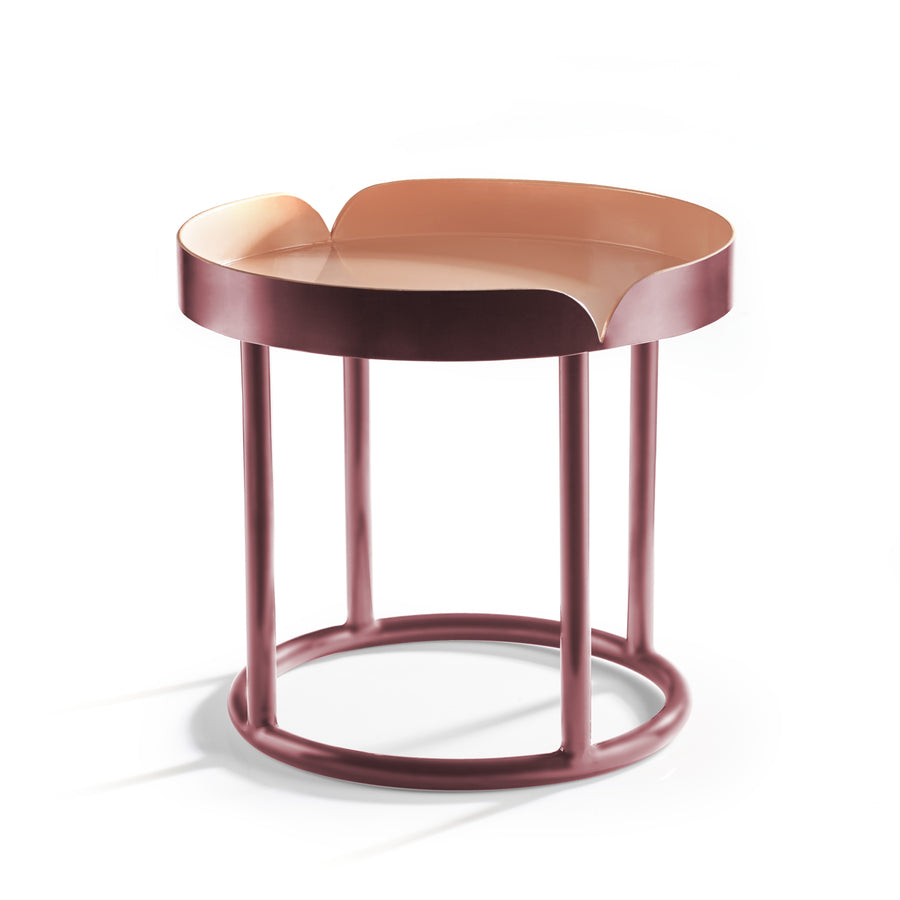 Ames Victorias Coffee Table 2