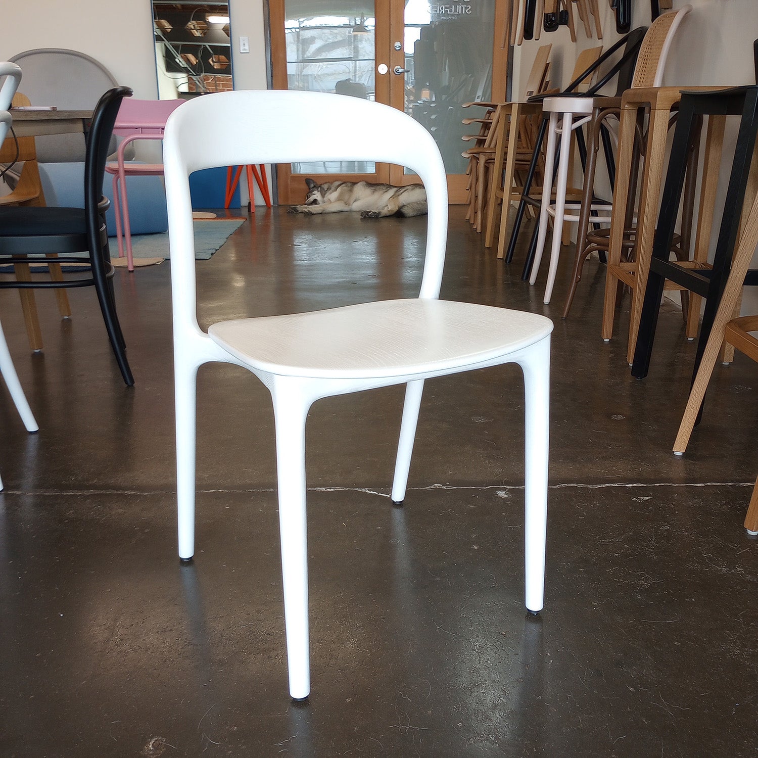 The NEVA light chair by Artisan in white from the Neva collection sits elegantly on a polished concrete floor, showcasing expert woodworking with its curved backrest and seat. In the background, additional chairs and a sleeping dog near a glass door add to the tranquil scene.