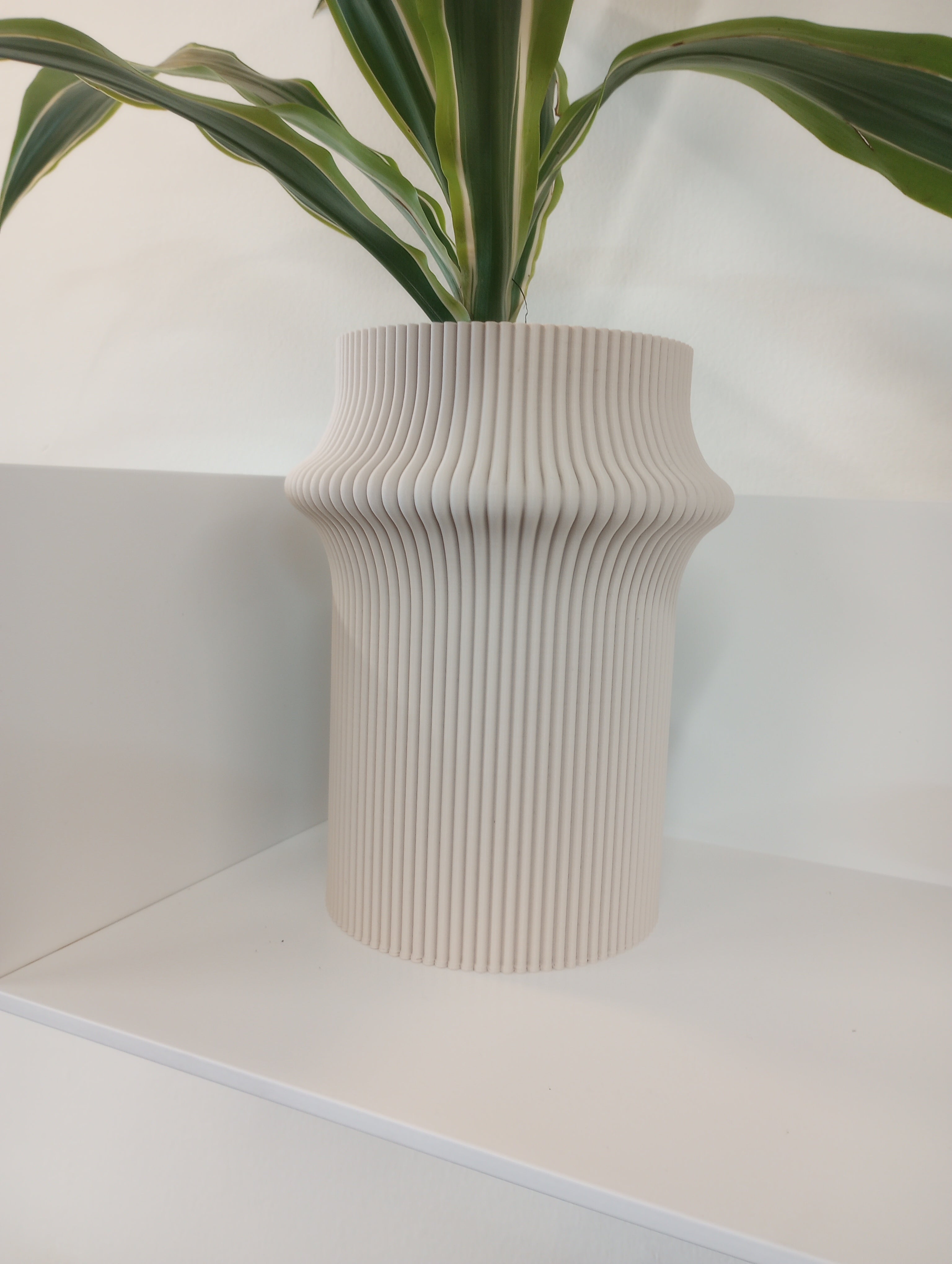 The Zayl 247g Vase by Sheyn is a white, ribbed ceramic piece with a wavy texture, showcasing a green plant with long leaves. It sits elegantly on a white shelf against a pale backdrop.