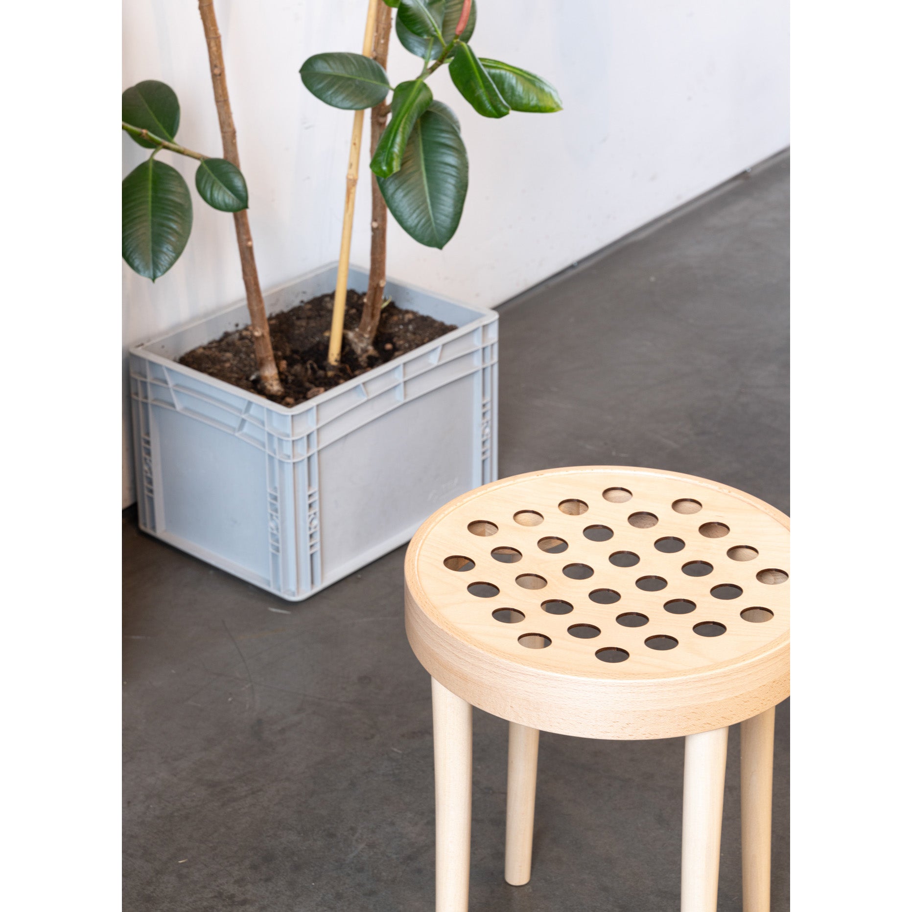 The Stool 822 by TON, featuring a perforated seat, highlights Scandinavian minimalism on a gray floor. Beside it sits a plant with broad leaves in a gray crate-like pot designed by Claesson Koivisto Rune, all beautifully arranged against a white wall.