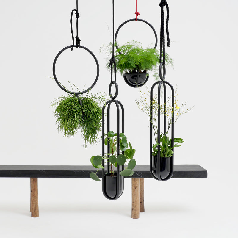 Three Blumenkugel - Hanging Flower Bowls by Atelier Haussmann, crafted from powder-coated steel with metal rings and holders, contain various green plants suspended above a minimalist wooden bench. Their contemporary design stands out against the plain white background.
