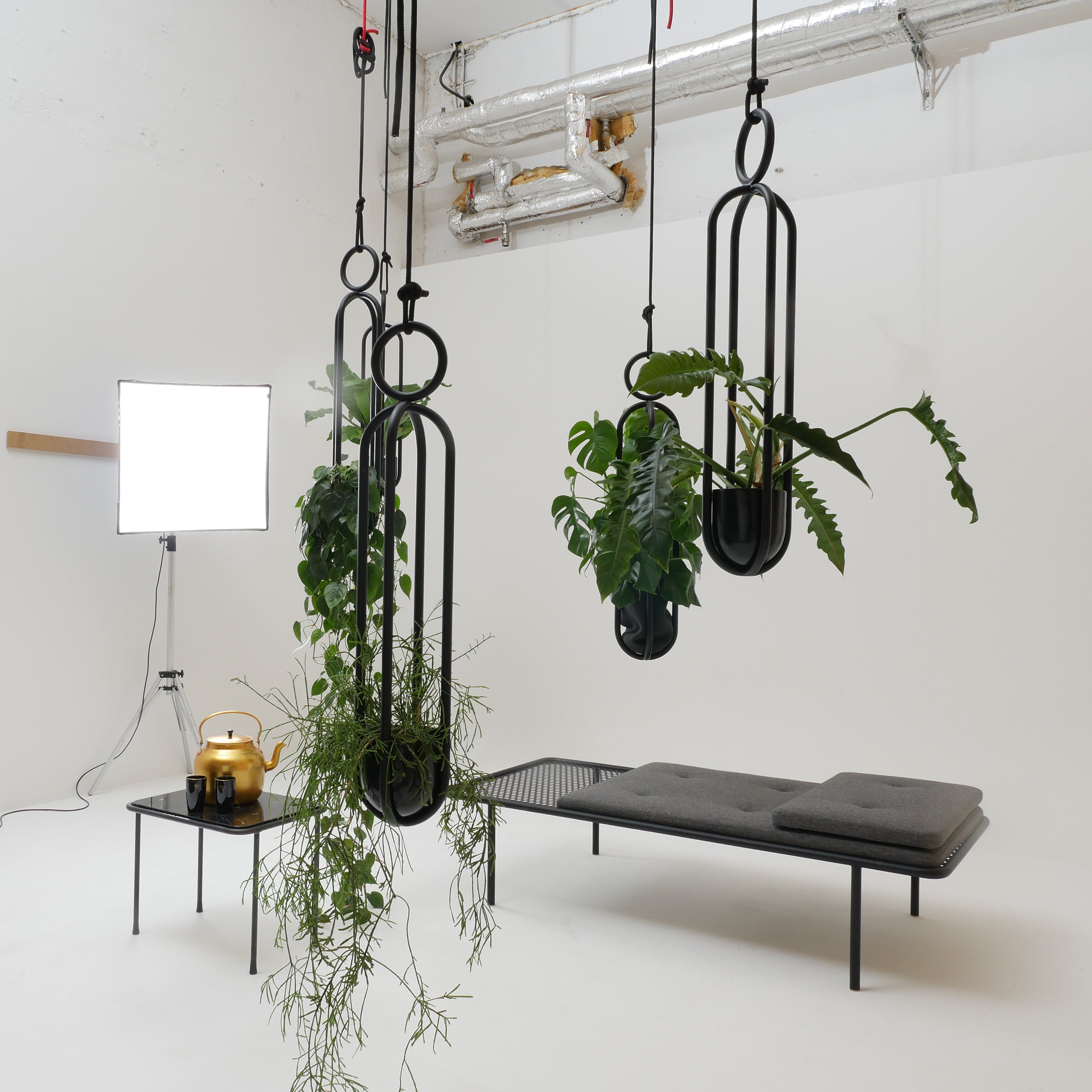 A minimalist room features lush plants in Atelier Haussmanns sleek black Blumenampel hanging vases. To the right, a chic black bench complements a small table with a teapot and cups. A bright studio light in the background casts gentle shadows over this serene setting.