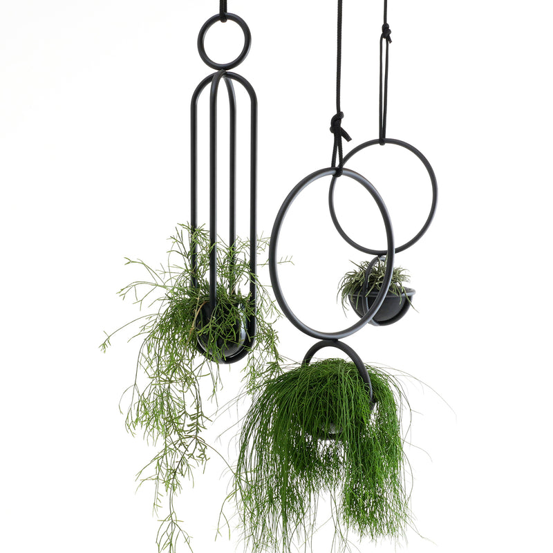 Three Blumenampel planters by Atelier Haussmann resemble sleek ashes II vases with minimalist black metal frames holding lush greenery. Their unique circular and oval designs create stylish floating appearances against a white backdrop.