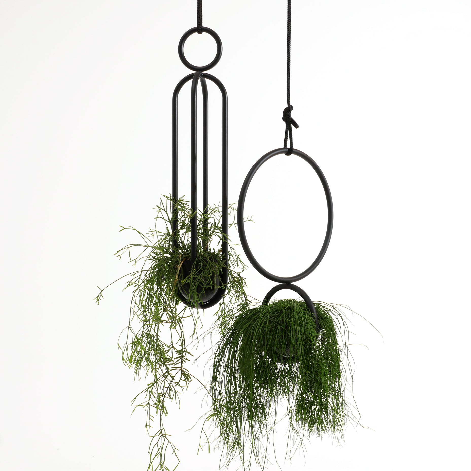Two Atelier Haussmann hanging planters with minimalist black frames display green plants. The left, a Blumenampel, features an elongated vertical design, while the right is a circular basket. Both show cascading foliage against a plain white background.