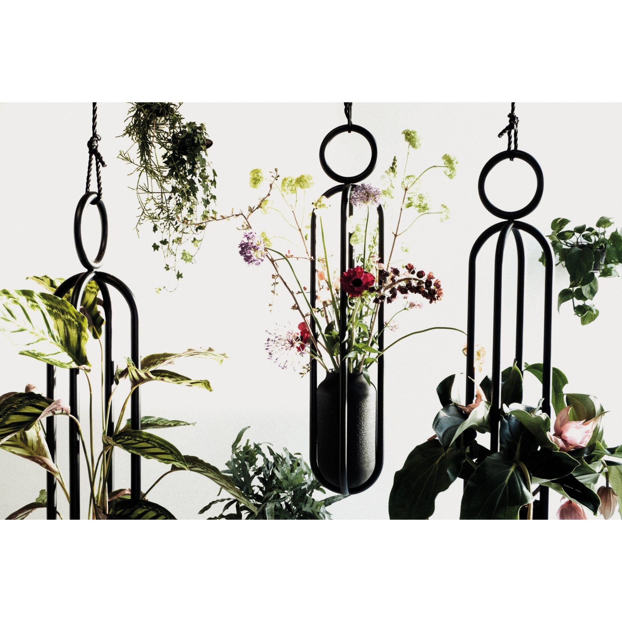 The Blumenampel - Hanging Flower Vase by Atelier Haussmann beautifully suspends green and flowering plants from the ceiling. The sleek black design enhances the vibrant foliage against a light backdrop, creating a serene overhead oasis.