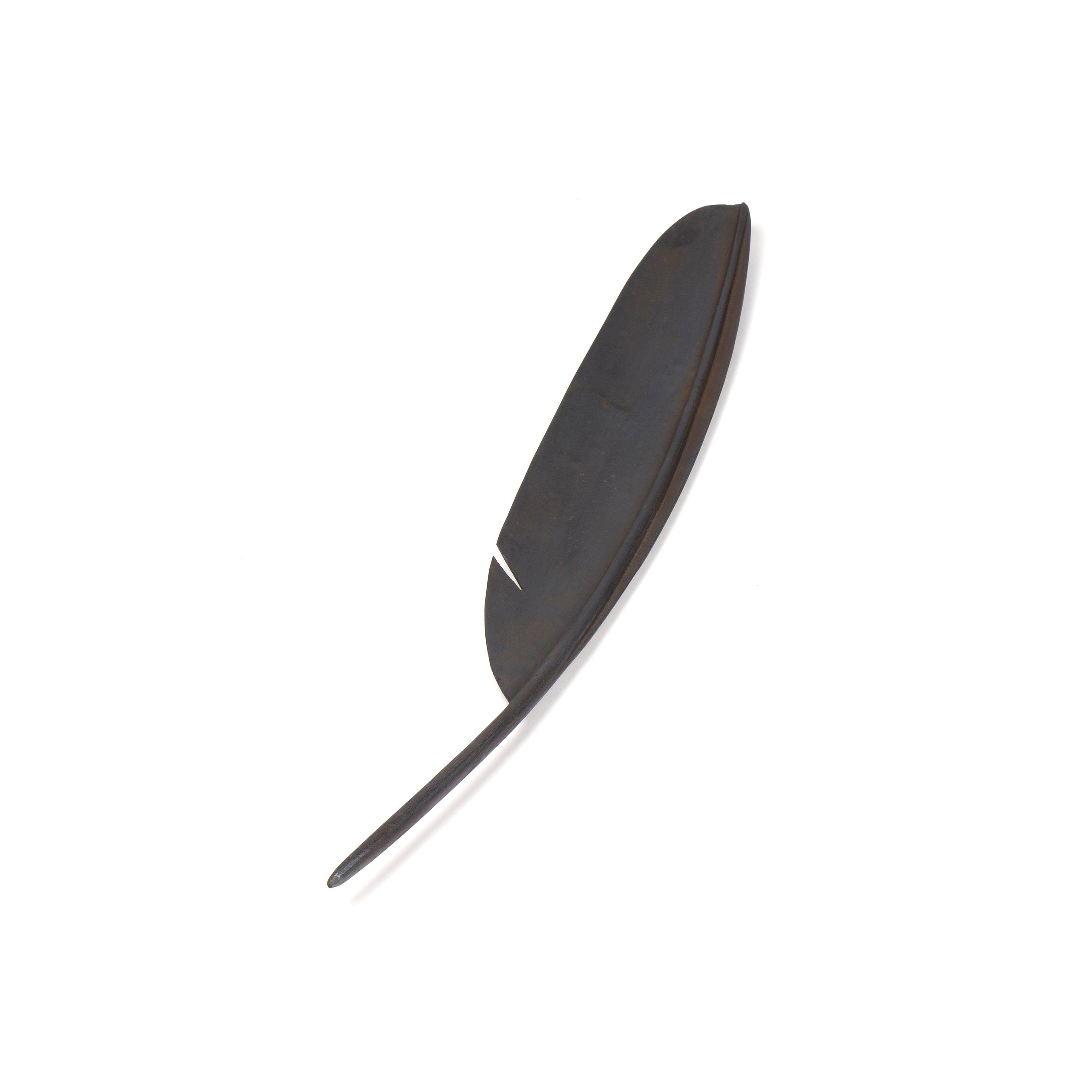 A single dark Bowl Feather #3650 from Werkstätte Carl Auböck rests on a plain white background, its smooth texture and slight curve capturing intricate details reminiscent of Wiener Bronzen artistry.