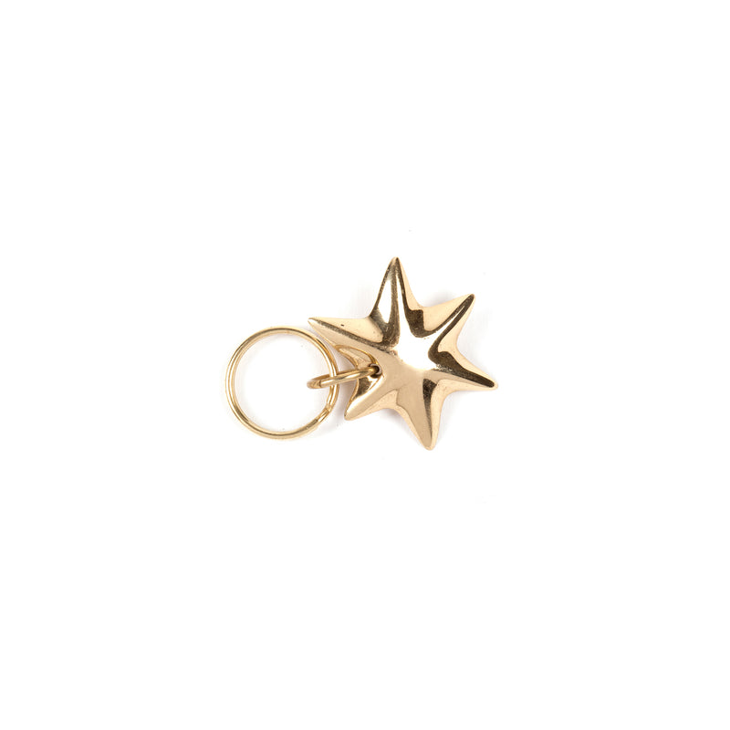 The Keyring Star #5615 by Werkstätte Carl Auböck features a shiny, gold star-shaped design with five rounded points on a plain white background, attached to a simple circular keyring.