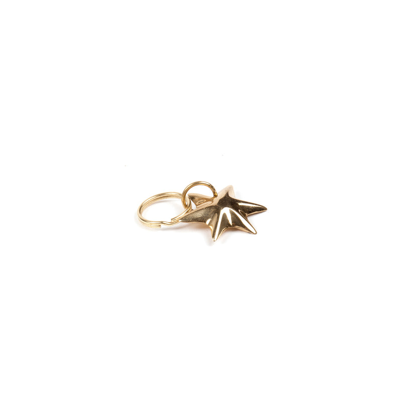 The Keyring Star #5615 by Werkstätte Carl Auböck is a gold star-shaped keychain with a shiny finish, attached to a small gold ring on a white background.