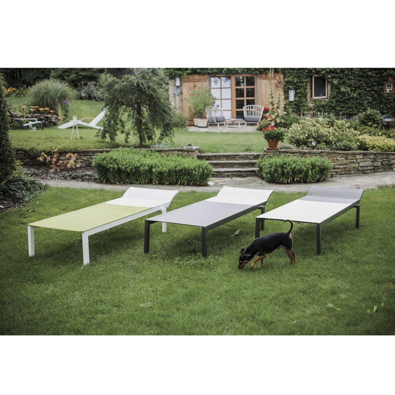 Three Alva Daybeds by Egoe in green, white, and gray adorn the lawn. A small black and brown dog strolls by. In the background, a garden with a wooden structure and various plants complements this stylish outdoor furniture, known for its lightweight construction.