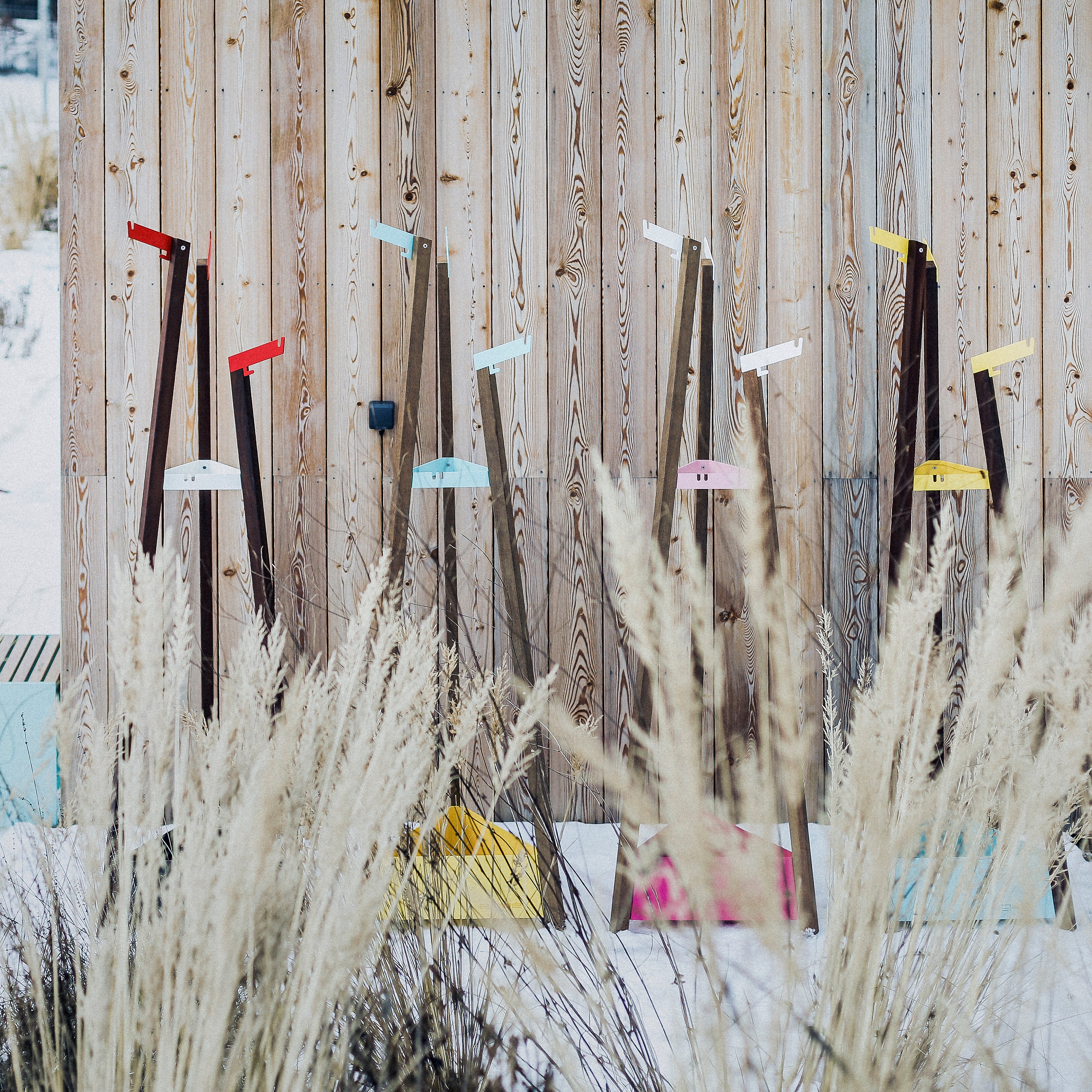 Egoes Salto Coat Rack, adorned with assorted bright colors and a modern, minimalistic design, leans against a light wooden wall like colorful sleds. Dry beige grasses are in the foreground while patches of snow cover the ground.