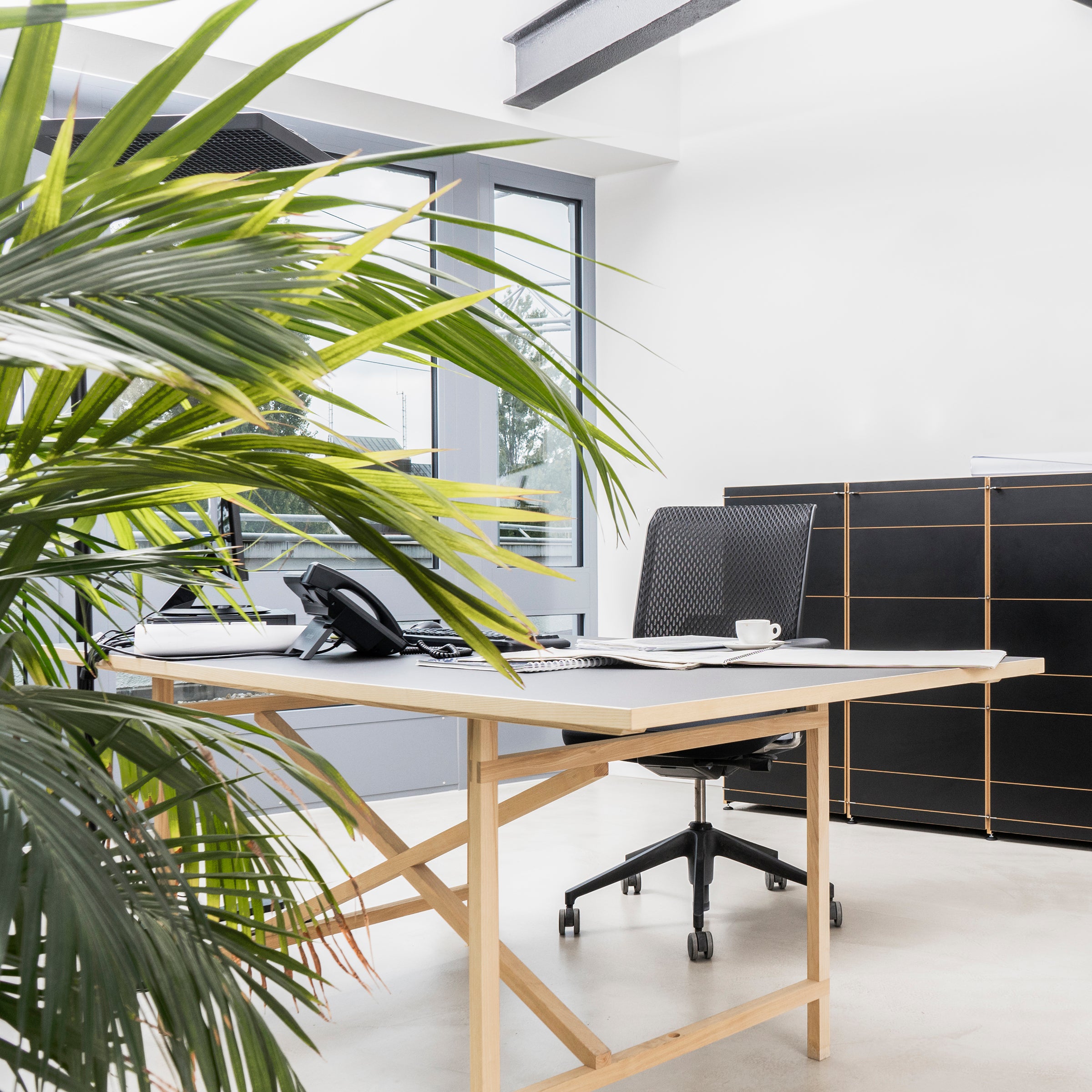 A modern office space features Moormanns Egon, a wooden table with a metal-free design, complemented by a black swivel chair and a potted plant. The table holds a phone, papers, and a coffee cup. Large windows in the background allow natural light to flood the room.