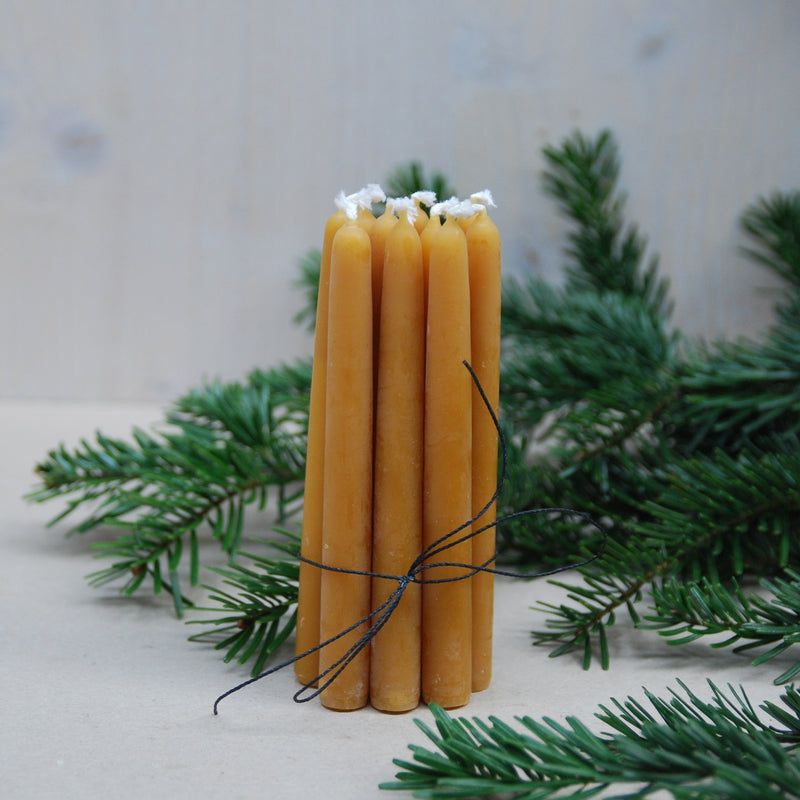 Five handmade beeswax candles from GoodGoods, branded as Light, are bundled with black string and stand upright on a light surface, surrounded by evergreen branches for a festive, natural touch.
