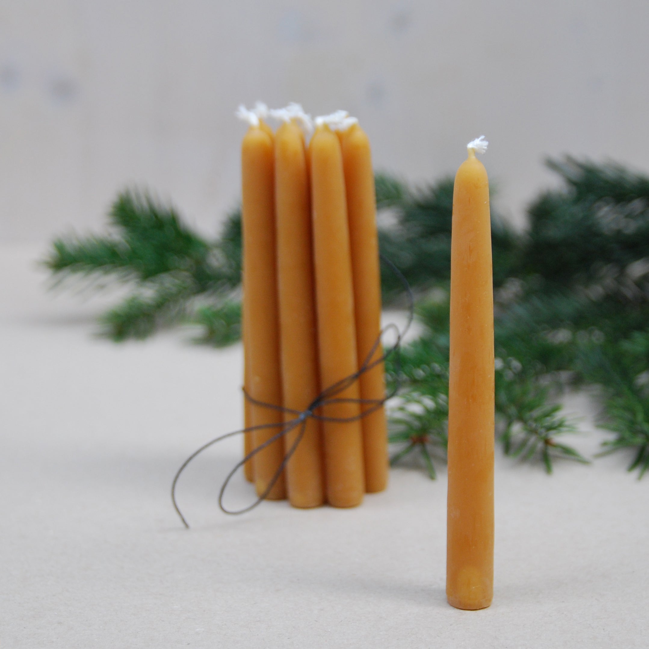 A cluster of six tall, slender beige candles made from handmade beeswax, tied with black string, stands upright on a neutral surface. One candle leans against them as green pine branches blur in the background, capturing the cozy charm of GoodGoods Light.