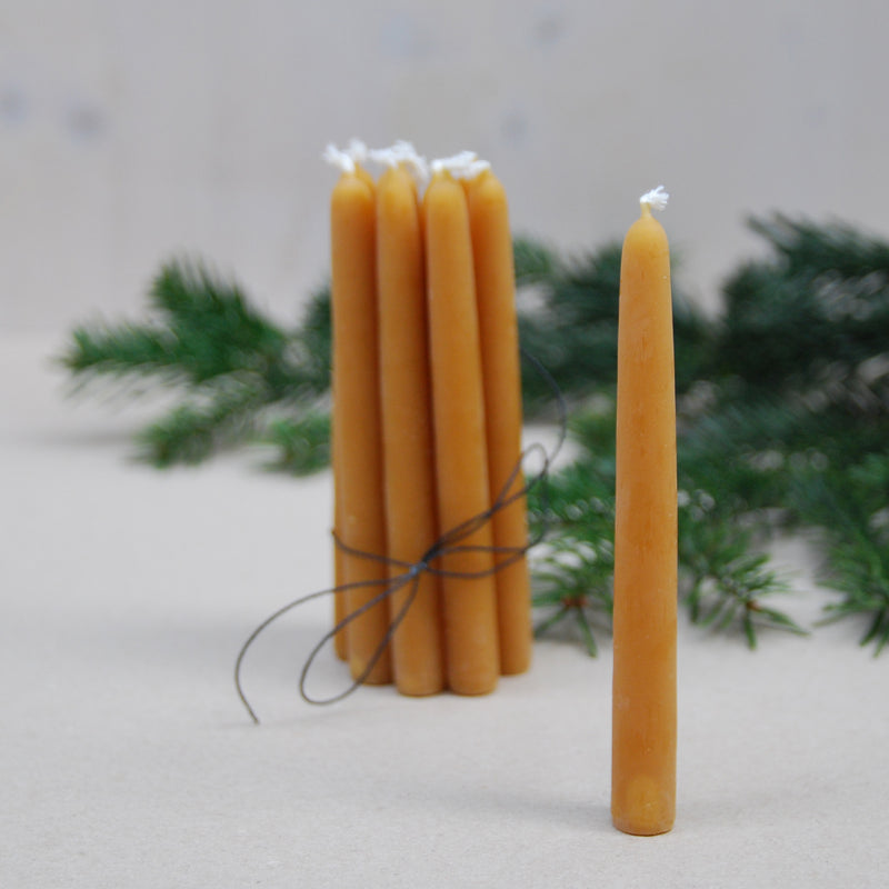 A cluster of six tall, slender beige candles made from handmade beeswax, tied with black string, stands upright on a neutral surface. One candle leans against them as green pine branches blur in the background, capturing the cozy charm of GoodGoods Light.