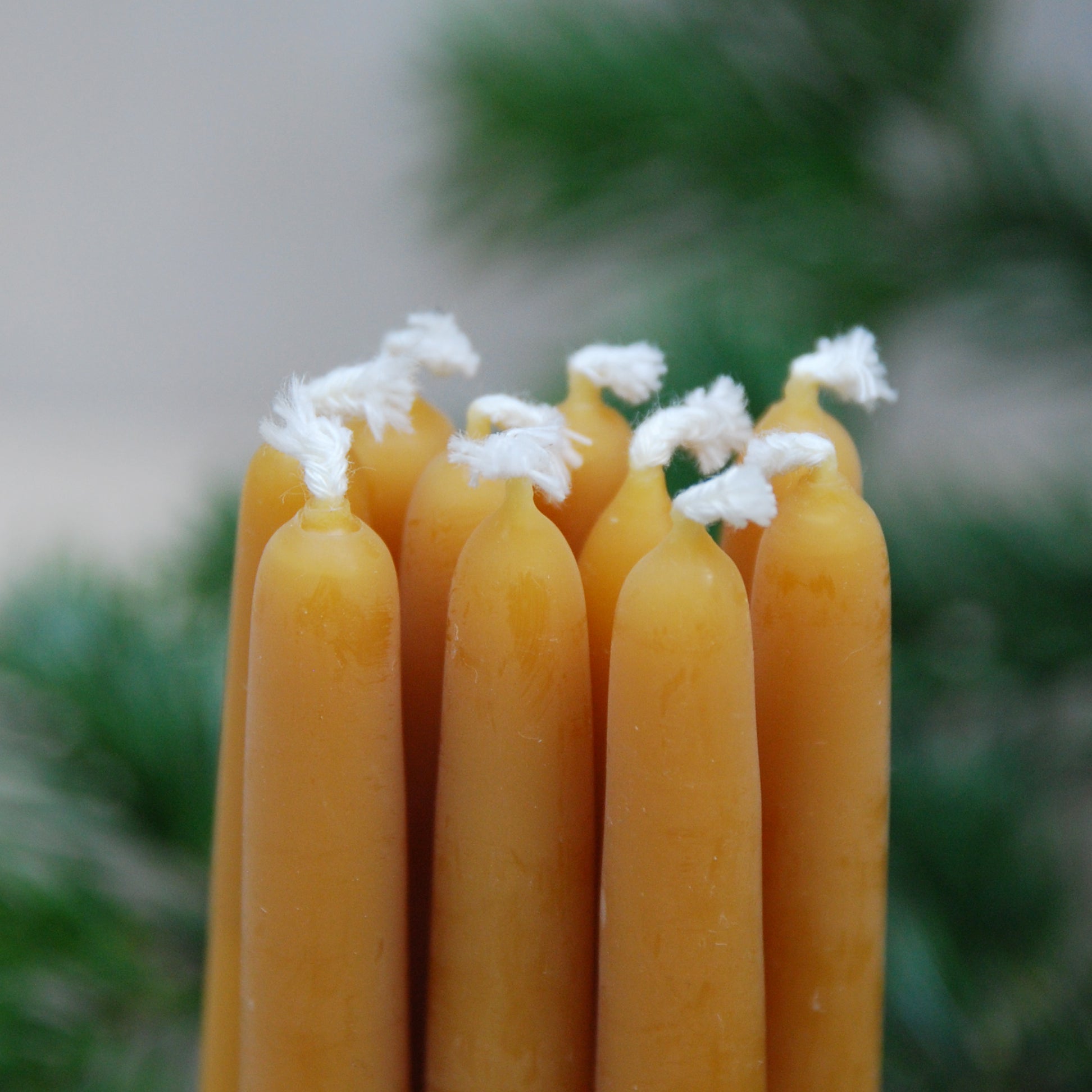 Nine handmade GoodGoods Light candles with white wicks stand upright, their smooth yellow surfaces contrasting against a blurred green foliage backdrop.