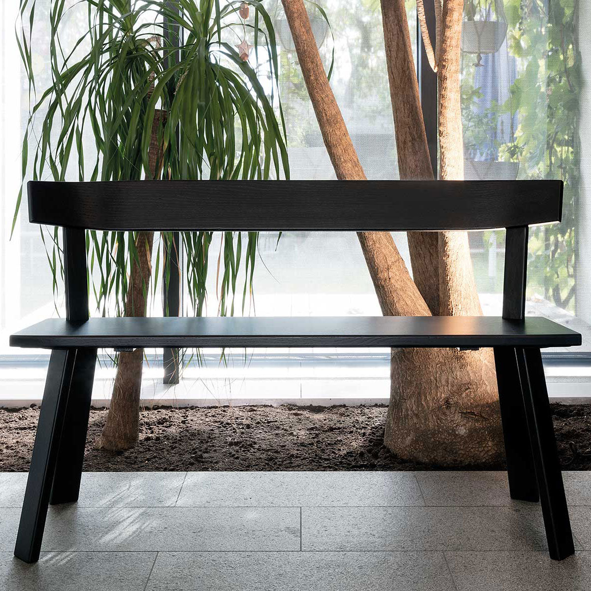 The Alpin Bench with backrest by Hussl, a minimalist black wooden bench, is placed on a tiled floor against a large window. Behind it, a tall indoor plant and tree trunk enjoy the natural light, creating a modern and serene setting.