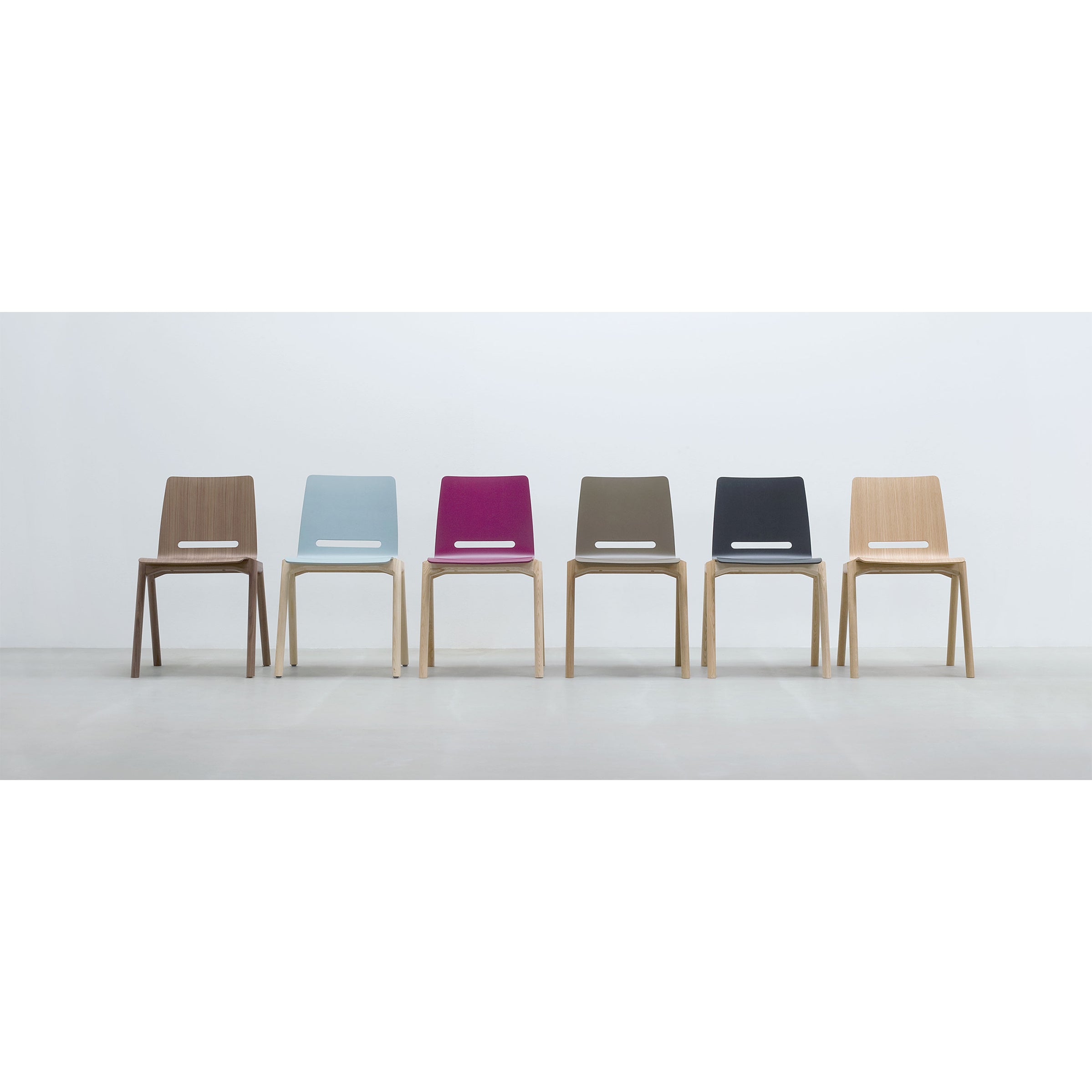 Six Forum 2S - Upholstered chairs by Hussl, each in brown, light blue, magenta, olive green, black, and beige, display a unique style. They line up against a white wall on a light gray floor.
