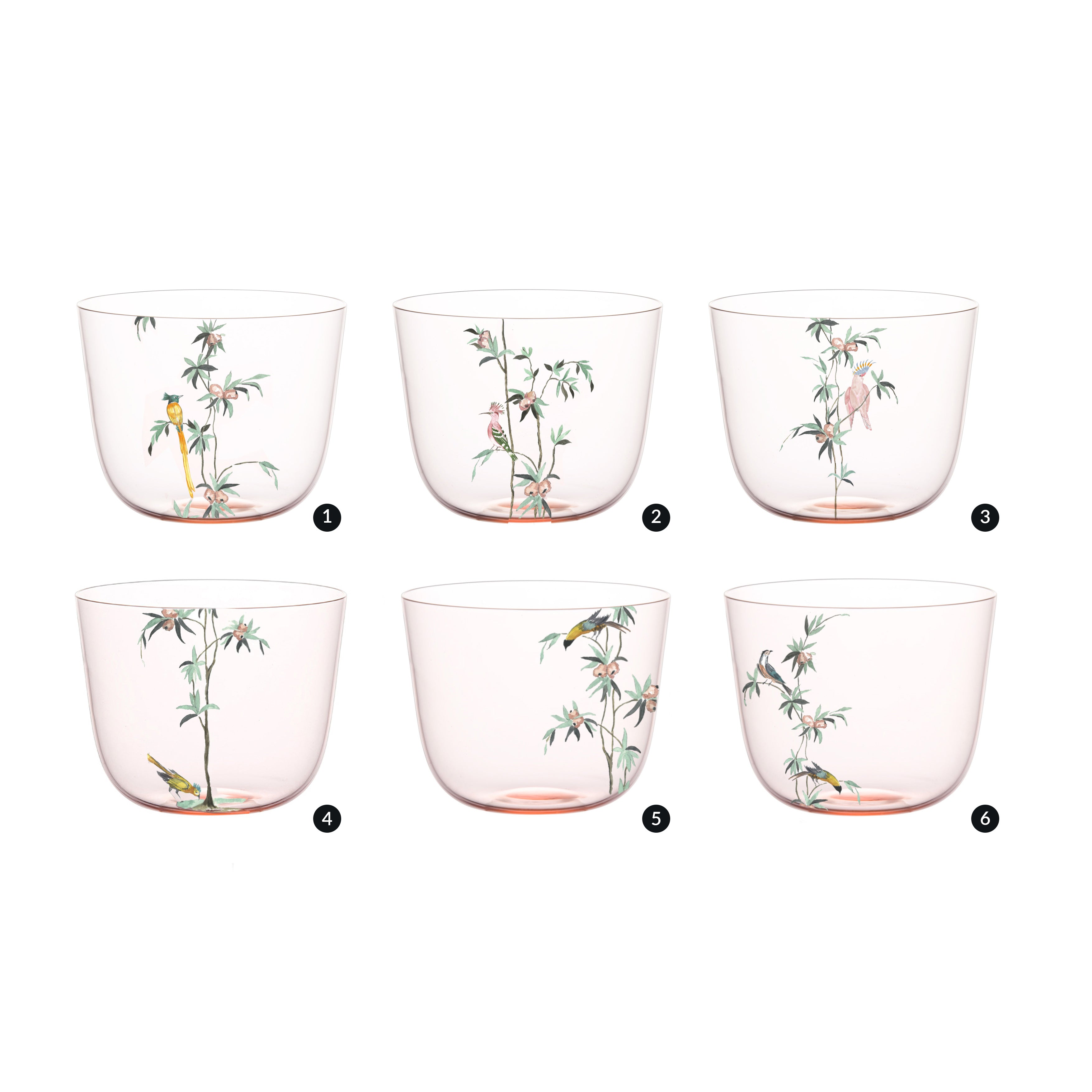 The Alpha Water Tumbler - Garden of Paradise by Lobmeyr includes six transparent glasses with delicate floral and bird designs, showcasing exotic birds among green leaves and colorful flowers, hand-painted to evoke a Garden of Paradise. Arranged elegantly in two rows of three.