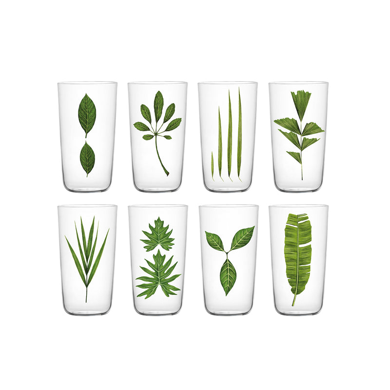 Eight clear tumblers from Lobmeyrs Drinking Set No. 4 – Beautiful Numbers are arranged in two rows, each with a unique green leaf design ranging from simple shapes to intricate fern and palm-like patterns on a plain white backdrop.