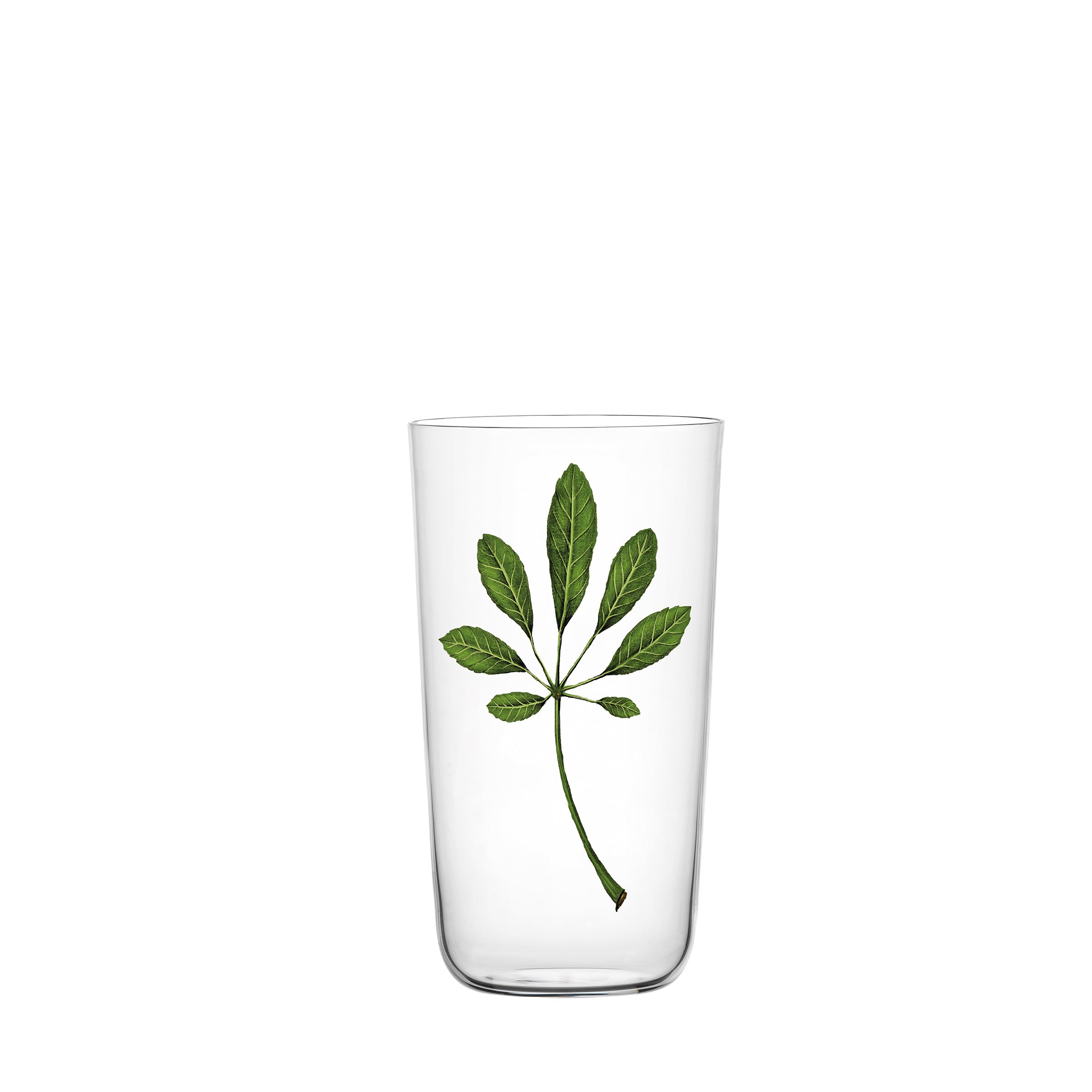 The Lobmeyr Drinking Set No. 4 - Beautiful Numbers features an elegantly illustrated clear glass with a green leaf design on a white background, perfect for any setting.