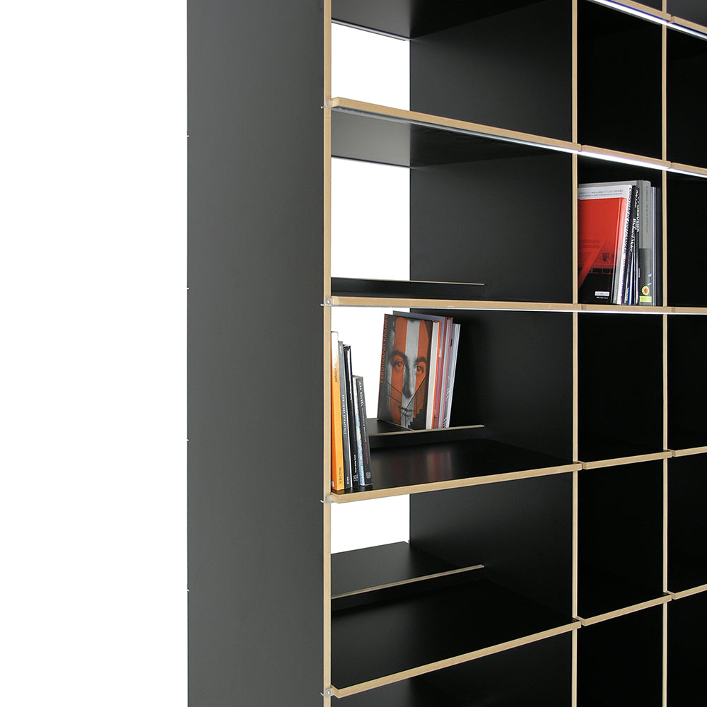 The FNP Archive by Moormann is a sleek, black freestanding shelf with a minimalist design and evenly spaced shelves. Books with colorful spines are sporadically placed on it, adding vibrancy to the sophisticated dark structure.