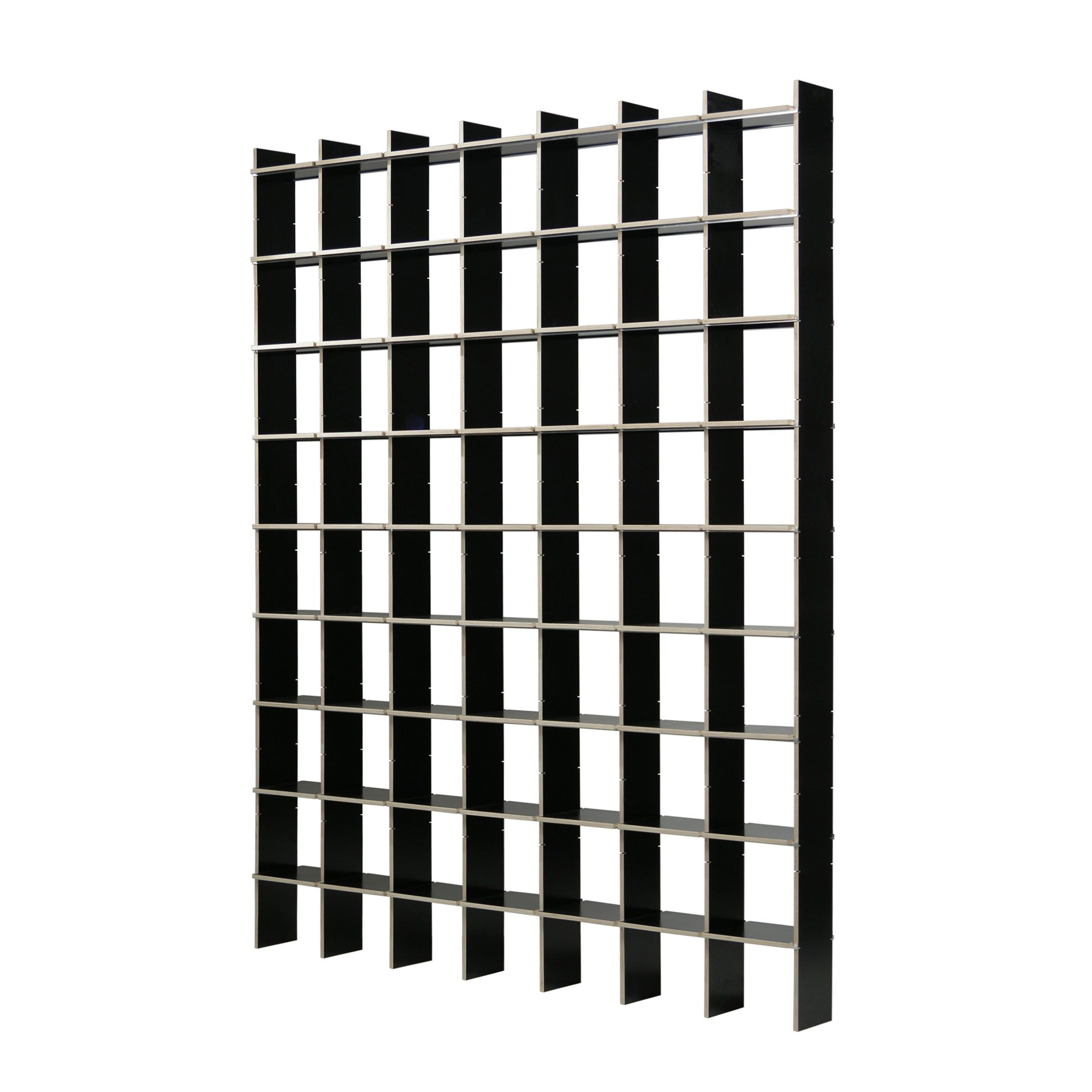 The FNP X, a black grid shelf from Moormann, features a lattice of vertical and horizontal divisions. This durable and stylish wall-mounted system provides storage or display space.