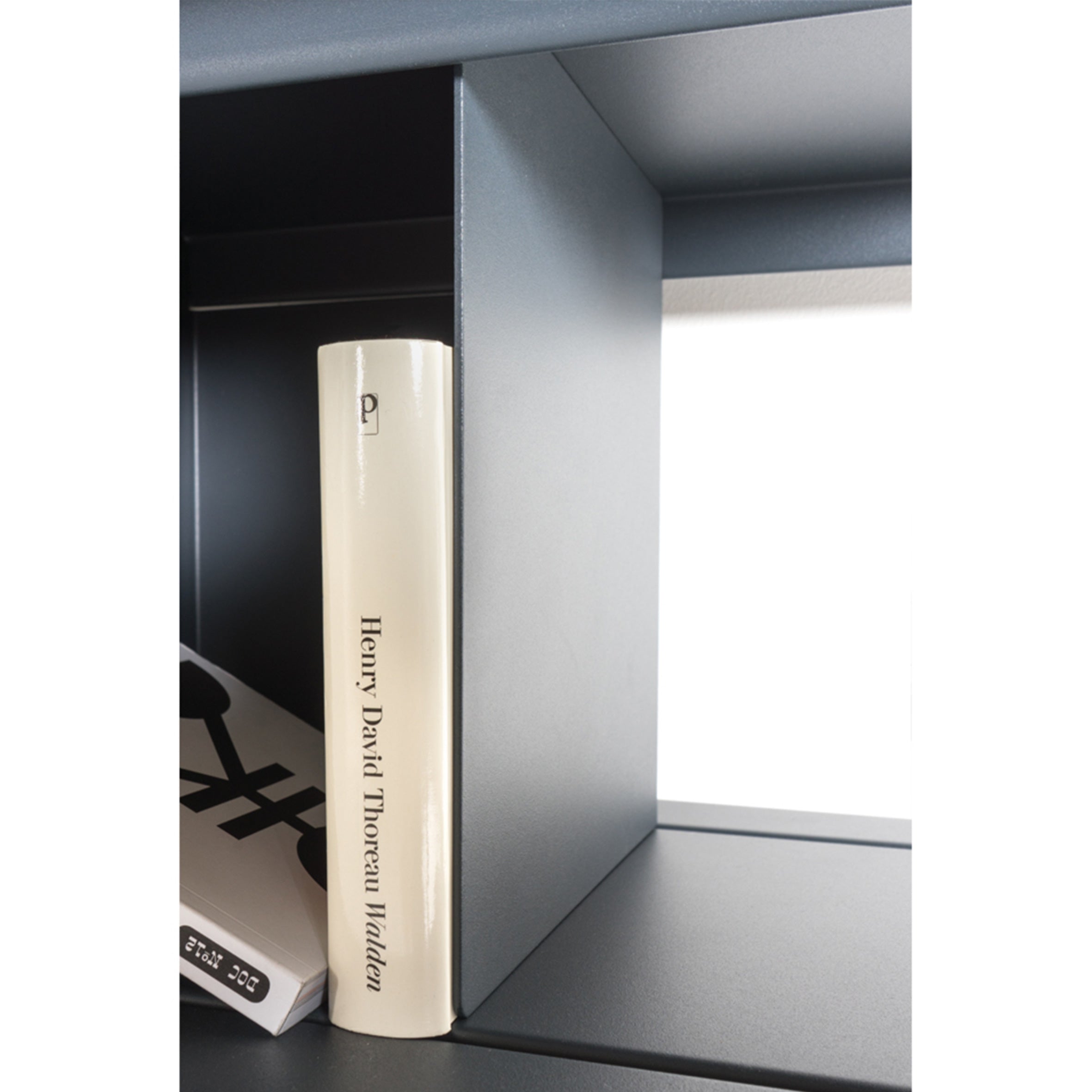 The Henry David Thoreau Walden book, featuring a cream-colored cover, stands on a gray bookshelf from the versatile Zoll D set by Moormann. Other books can be partially seen to the left, with a bright background hinting at daylight.