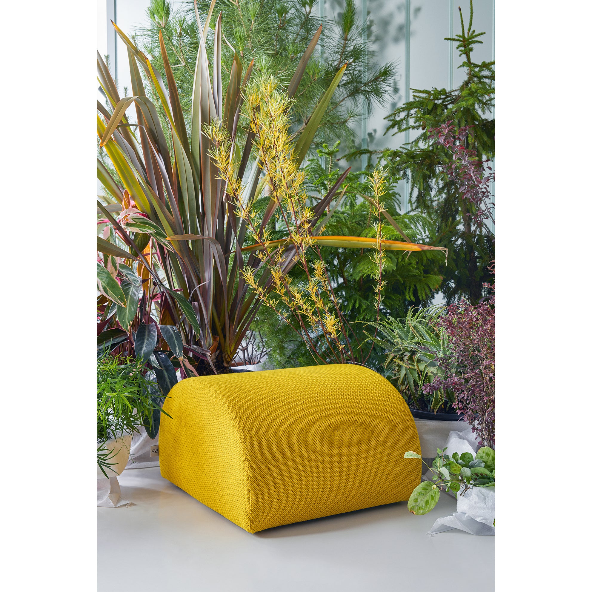 The Levi Pouf by Objekte unserer Tage, with its vibrant yellow handcrafted upholstery, is surrounded by lush green plants of spiky and leafy textures, creating a serene and natural indoor setting.