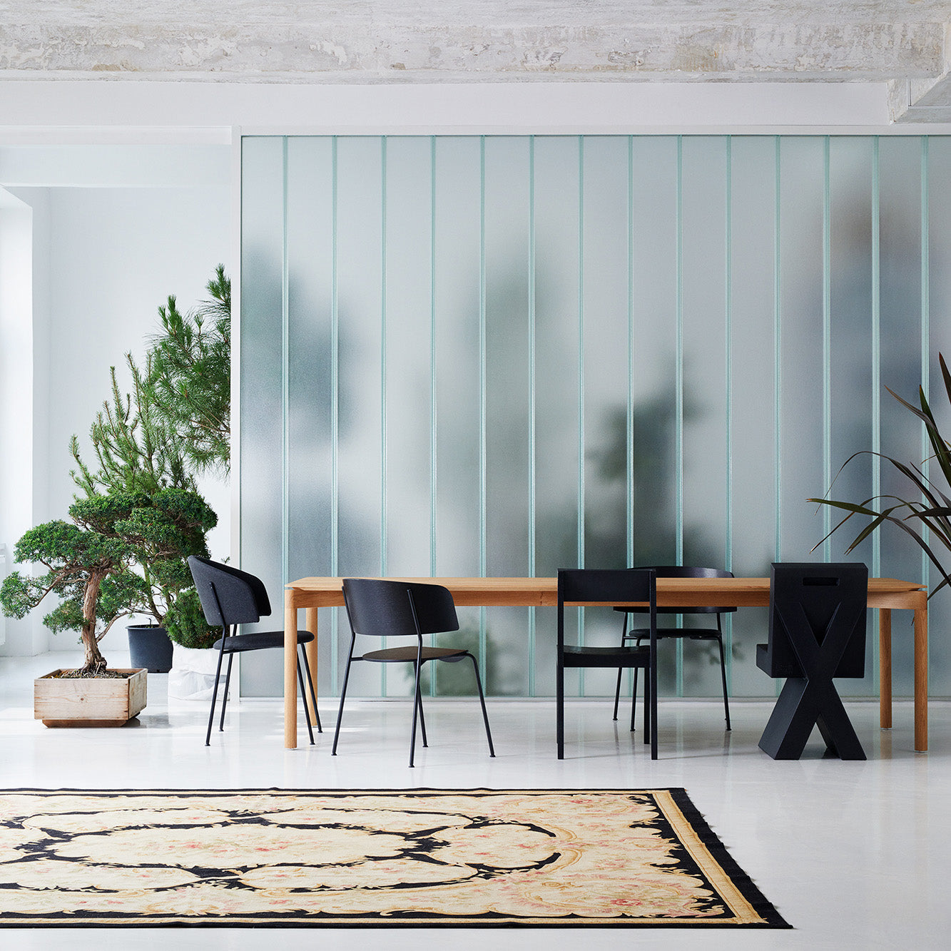 A minimalist dining room features a long wooden table with Objekte unserer Tage Wagner Dining Chairs in black for comfort. A large frosted glass panel provides the backdrop, while green potted plants and a decorative rug enhance the white floor.