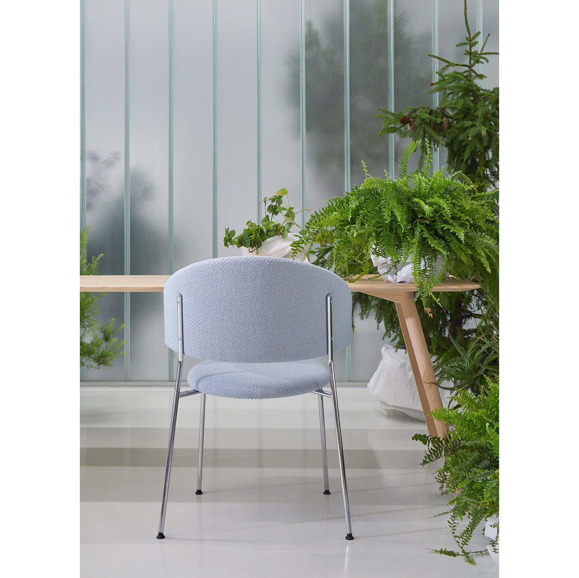 A light blue Wagner Dining Chair by Objekte unserer Tage with metal legs is situated at a light wooden desk, set against large frosted glass panels and lush green plants, creating a fresh, modern vibe with enhanced seating comfort.