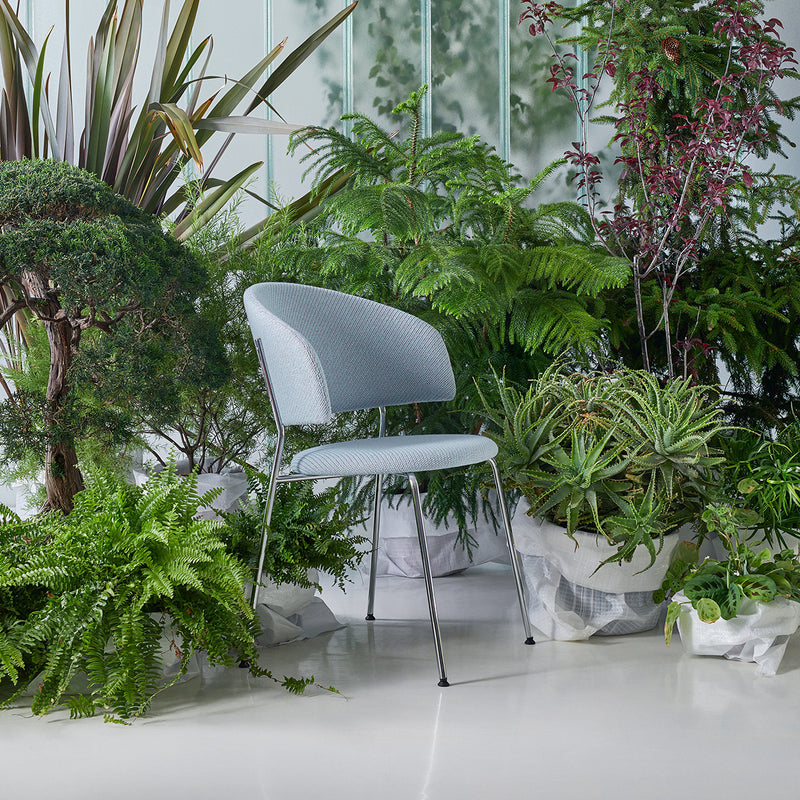 The Wagner Dining Chair by Objekte unserer Tage, featuring a modern grey design and curved backrest, enhances seating comfort among lush greenery in a minimalist white room, creating a tranquil and naturally beautiful setting.