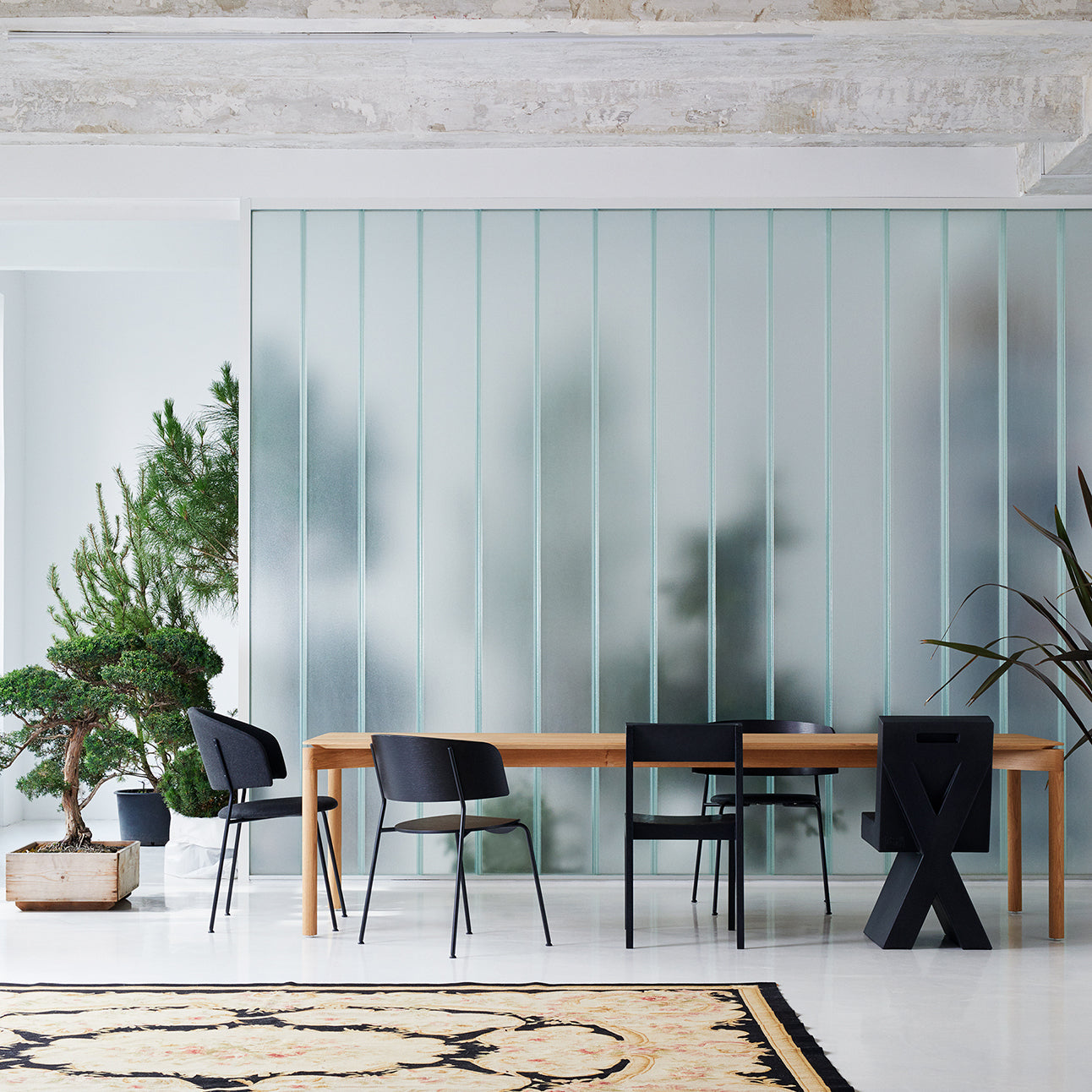 A minimalist dining area features an Objekte unserer Tage Wedekind Table made from sustainable oak wood, paired with sleek black chairs. A frosted glass wall provides a chic backdrop, complemented by two potted plants on the white floor and a large rug adding texture to the space.