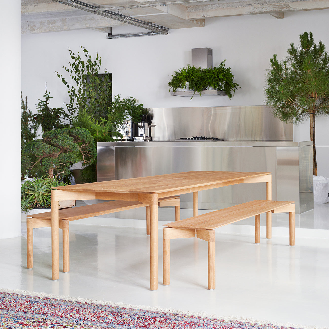 In a modern, minimalist kitchen, a stainless steel island and stove stand out. An Objekte unserer Tage Wedekind Table made of sustainable oak with matching benches complements the white floor. Potted plants add natural charm, while a colorful rug highlights the precise craftsmanship.
