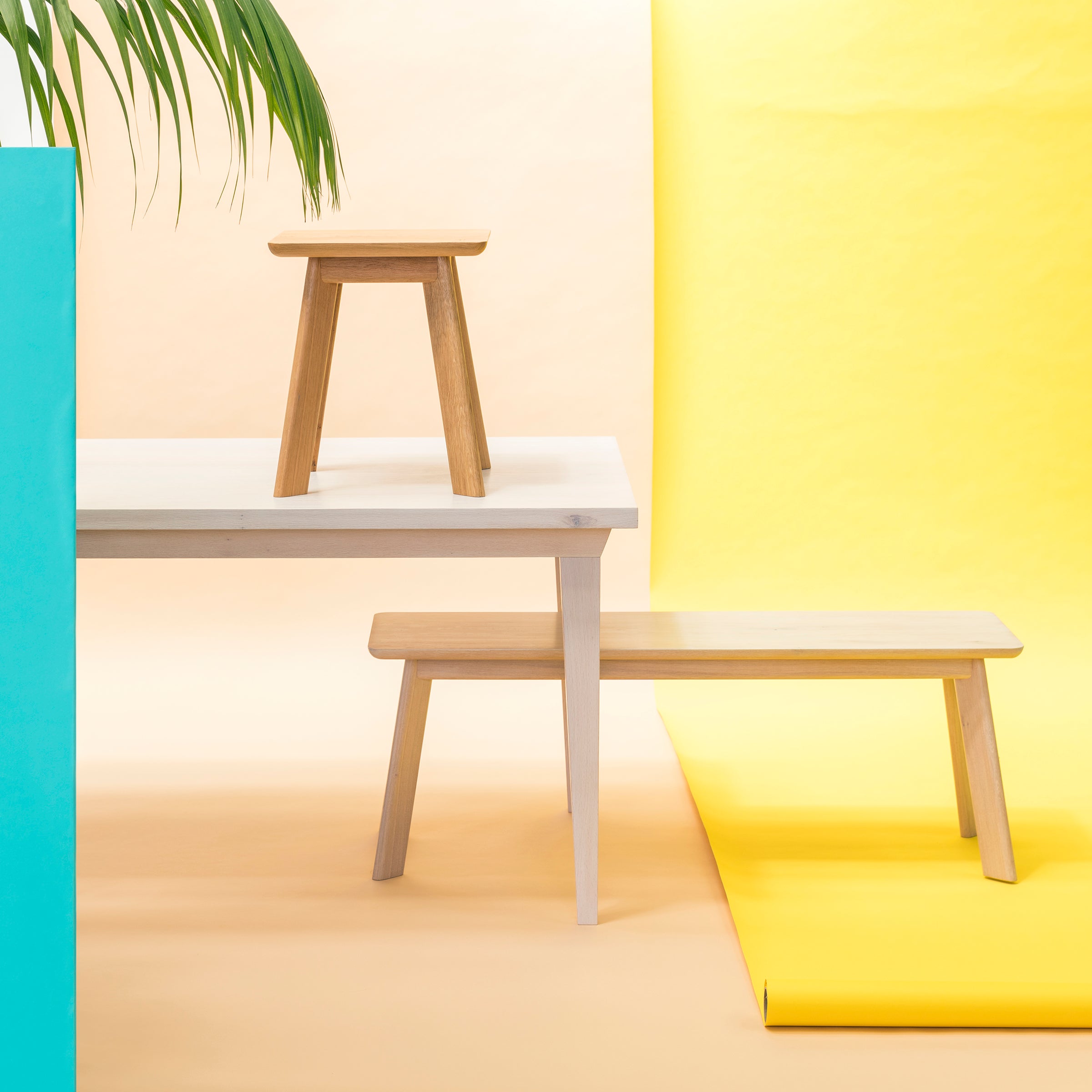 A minimalist room features One For Hundreds YOGI Bench beneath a wooden stool on a white table. The vibrant backdrop displays yellow hues with hints of turquoise while a green leafy plant elegantly arches overhead.
