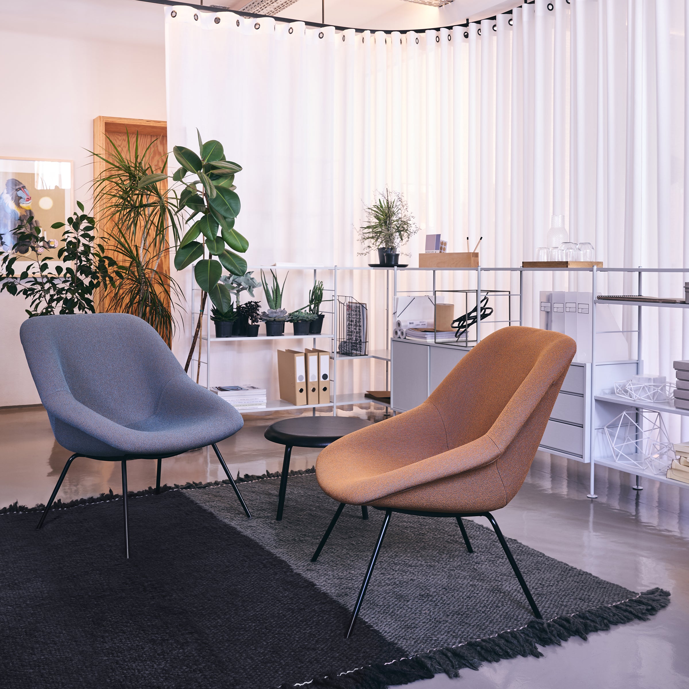 Modern office space featuring two cozy chairs including the H 55 Lounge Chair with a tubular steel frame, and another plush chair in orange, around a small round table on a dark rug. Shelves with potted plants and decor line the back, as white curtains and a wooden door enhance the ambiance.