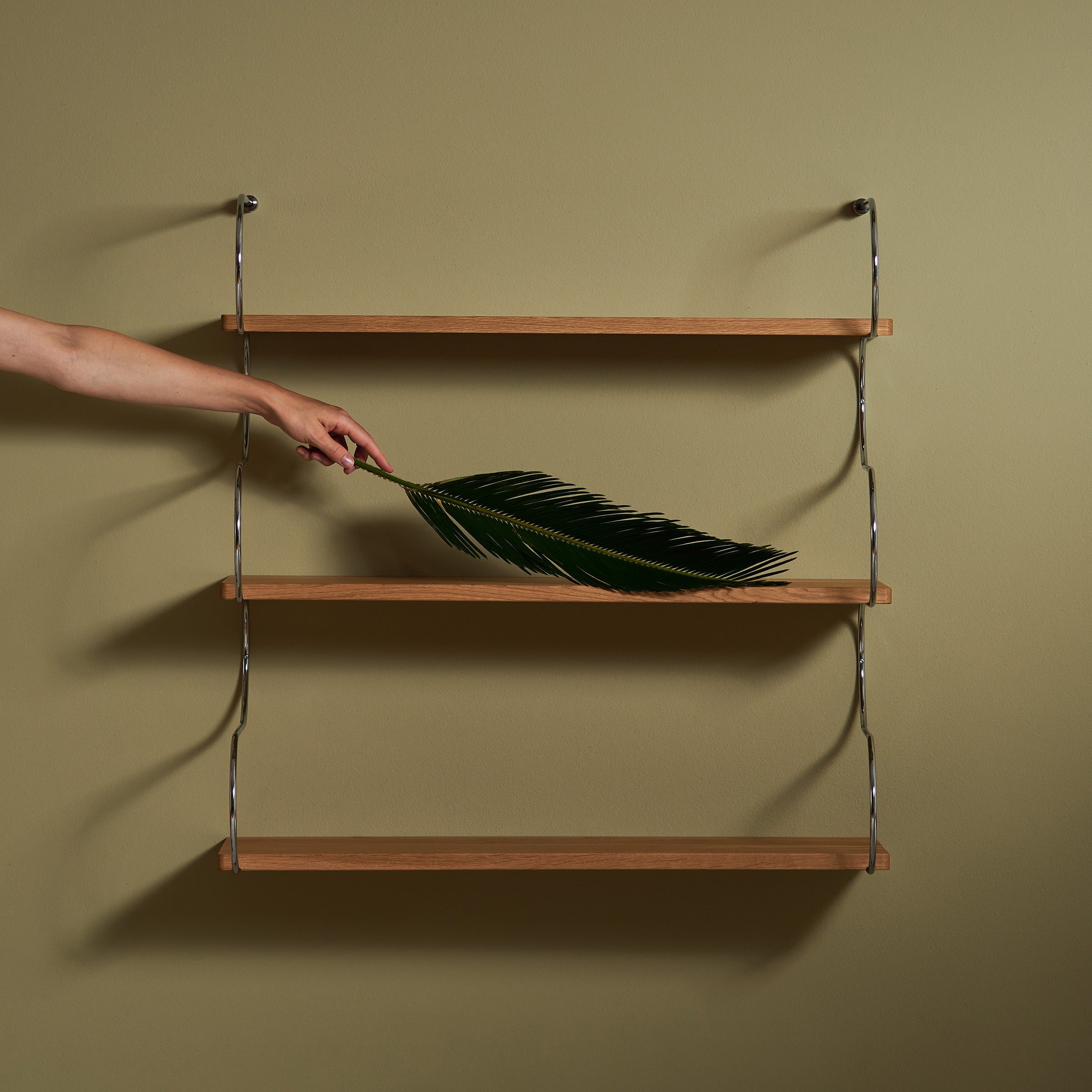 The Onda shelf by Schneid, crafted from minimalist oak wood, features three tiers and hangs on a muted green wall. A hand places a large green leaf on the middle shelf, with the understated background enhancing its sleek curved design.