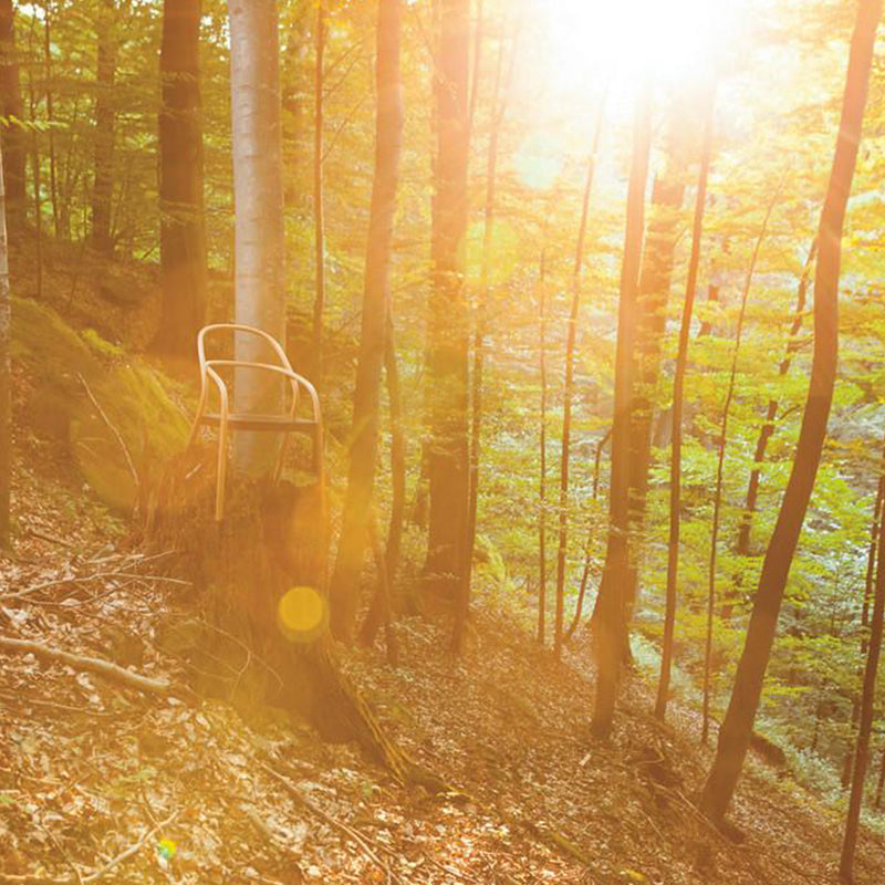 Chair 002 by TON, a minimalist chair inspired by a classic redesign, sits in a sunlit forest with tall trees. The sunlight filters through leaves, creating a warm, golden glow enhanced by sun rays and lens flare, adding to the serene atmosphere.