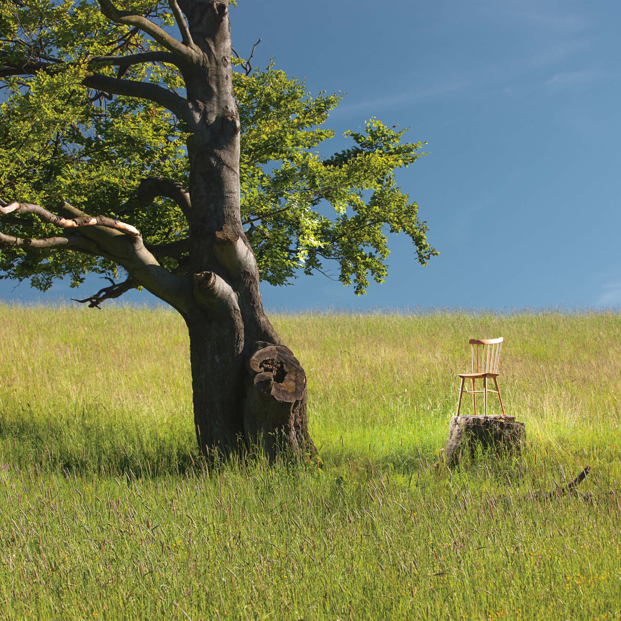 A Chair Ironica - Upholstered from TON sits on a tree stump beside a large, gnarled tree in a lush green field under a clear blue sky. Tall grass gently surrounds the peaceful, retro-style scene.